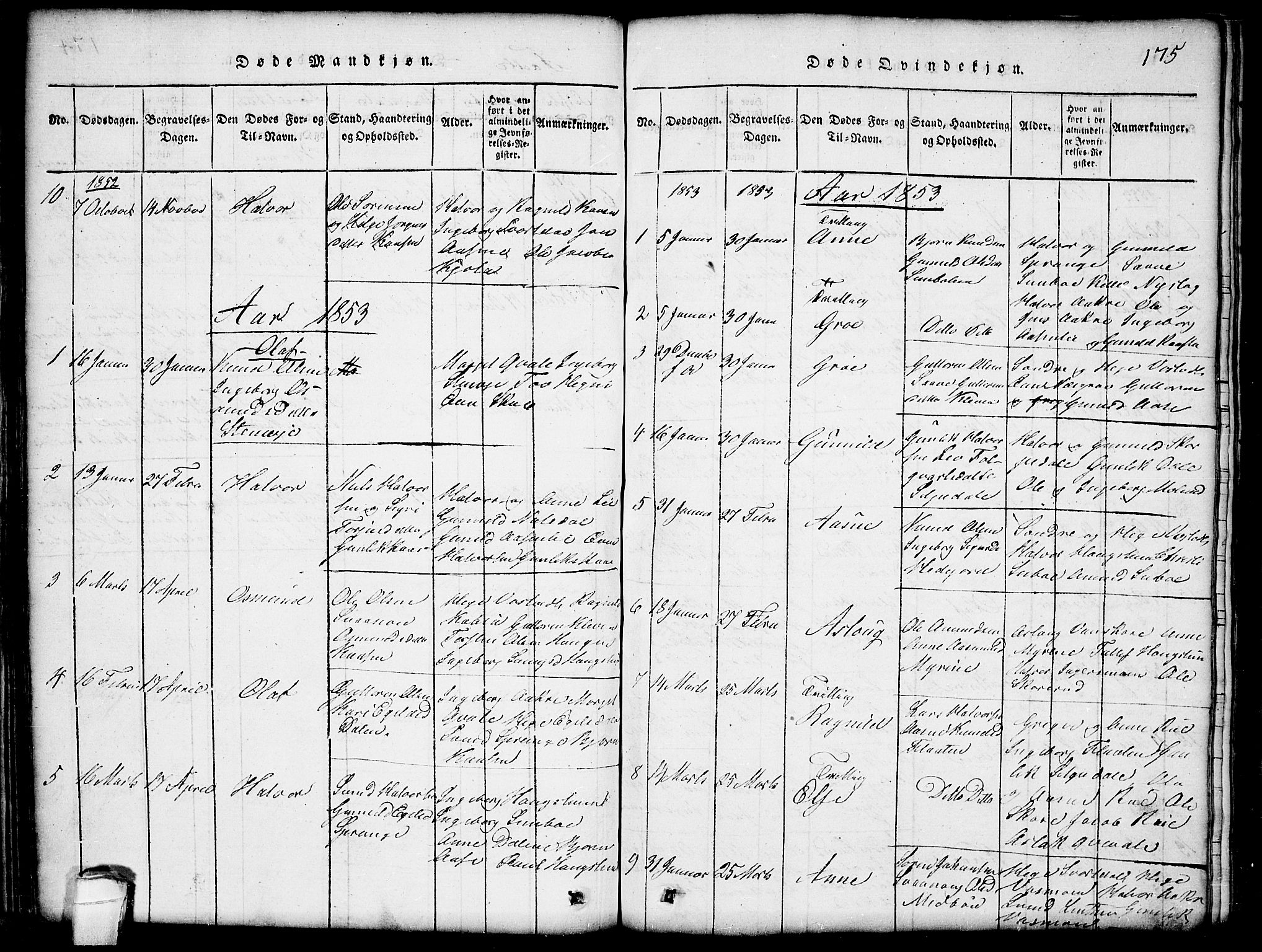 Seljord kirkebøker, AV/SAKO-A-20/G/Gb/L0002: Parish register (copy) no. II 2, 1815-1854, p. 175