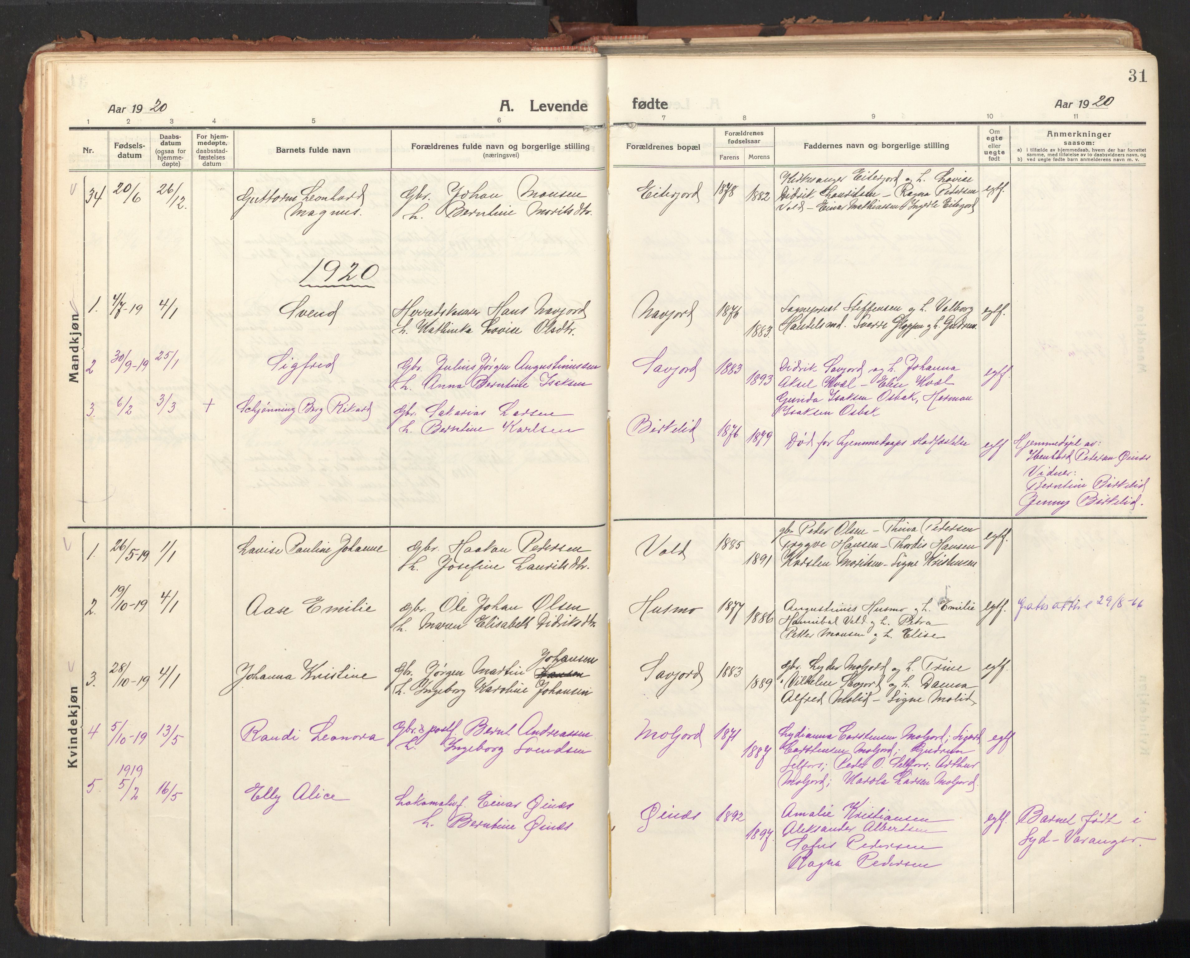 Ministerialprotokoller, klokkerbøker og fødselsregistre - Nordland, SAT/A-1459/846/L0650: Parish register (official) no. 846A08, 1916-1935, p. 31