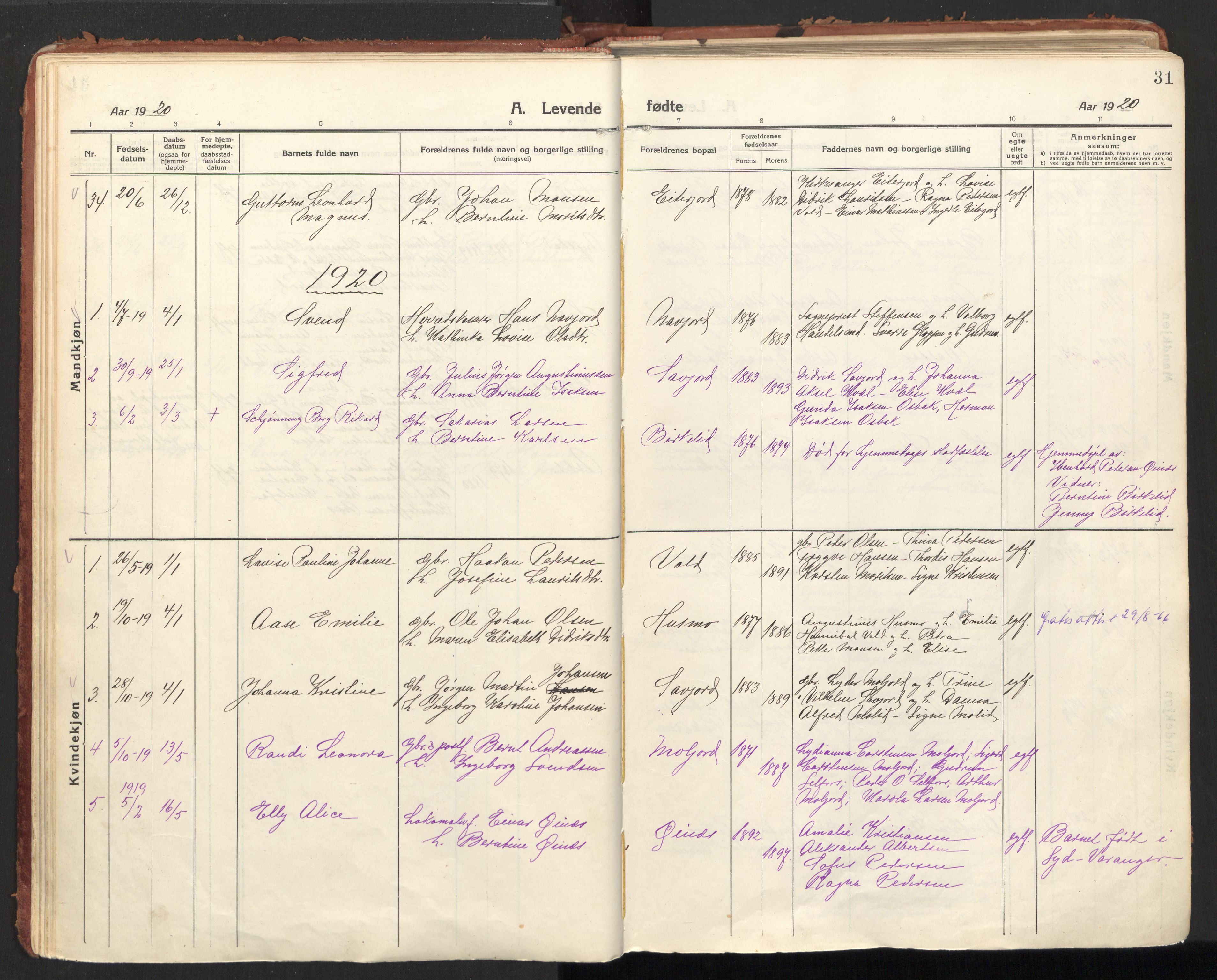 Ministerialprotokoller, klokkerbøker og fødselsregistre - Nordland, AV/SAT-A-1459/846/L0650: Parish register (official) no. 846A08, 1916-1935, p. 31