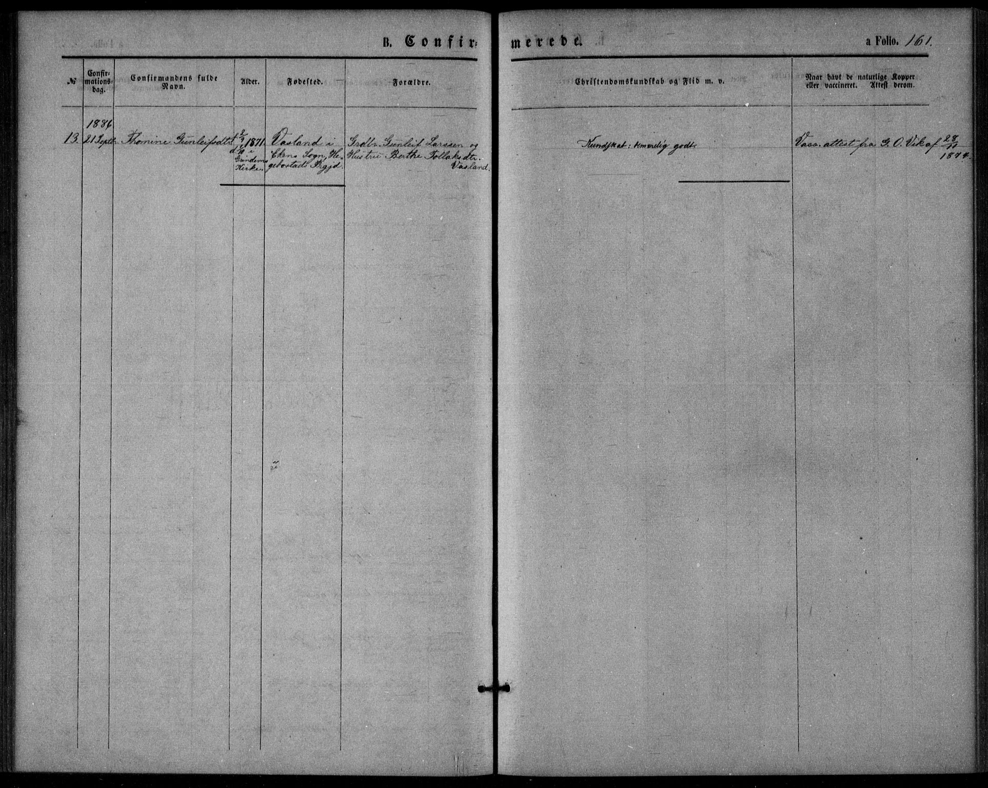 Bjelland sokneprestkontor, AV/SAK-1111-0005/F/Fa/Fac/L0002: Parish register (official) no. A 2, 1866-1887, p. 161