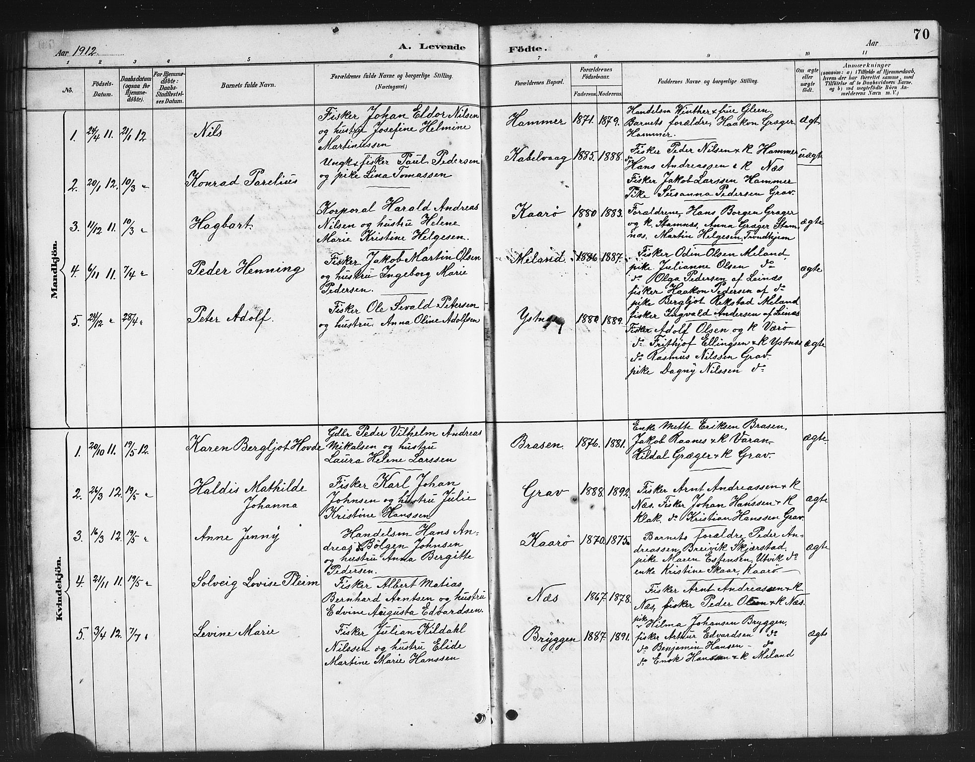 Ministerialprotokoller, klokkerbøker og fødselsregistre - Nordland, AV/SAT-A-1459/808/L0131: Parish register (copy) no. 808C02, 1879-1919, p. 70