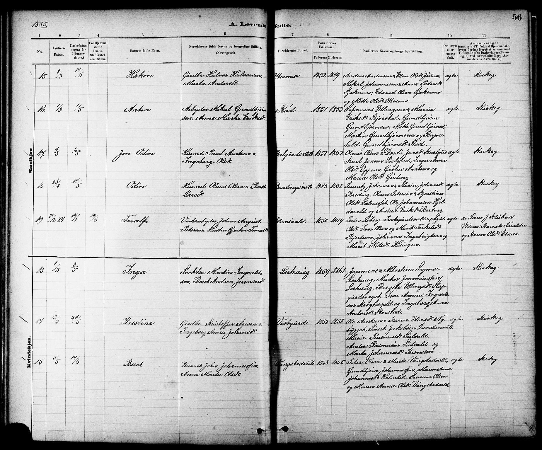 Ministerialprotokoller, klokkerbøker og fødselsregistre - Nord-Trøndelag, AV/SAT-A-1458/724/L0267: Parish register (copy) no. 724C03, 1879-1898, p. 56
