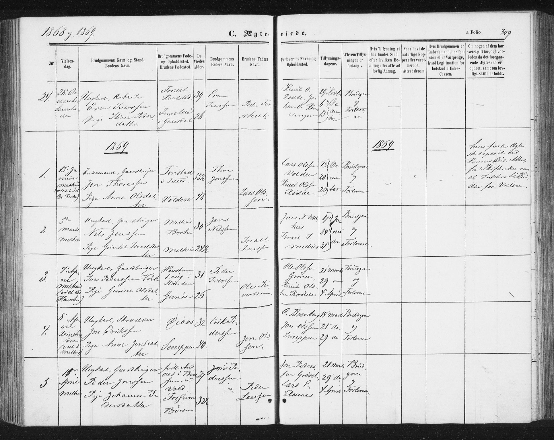 Ministerialprotokoller, klokkerbøker og fødselsregistre - Sør-Trøndelag, SAT/A-1456/691/L1077: Parish register (official) no. 691A09, 1862-1873, p. 309