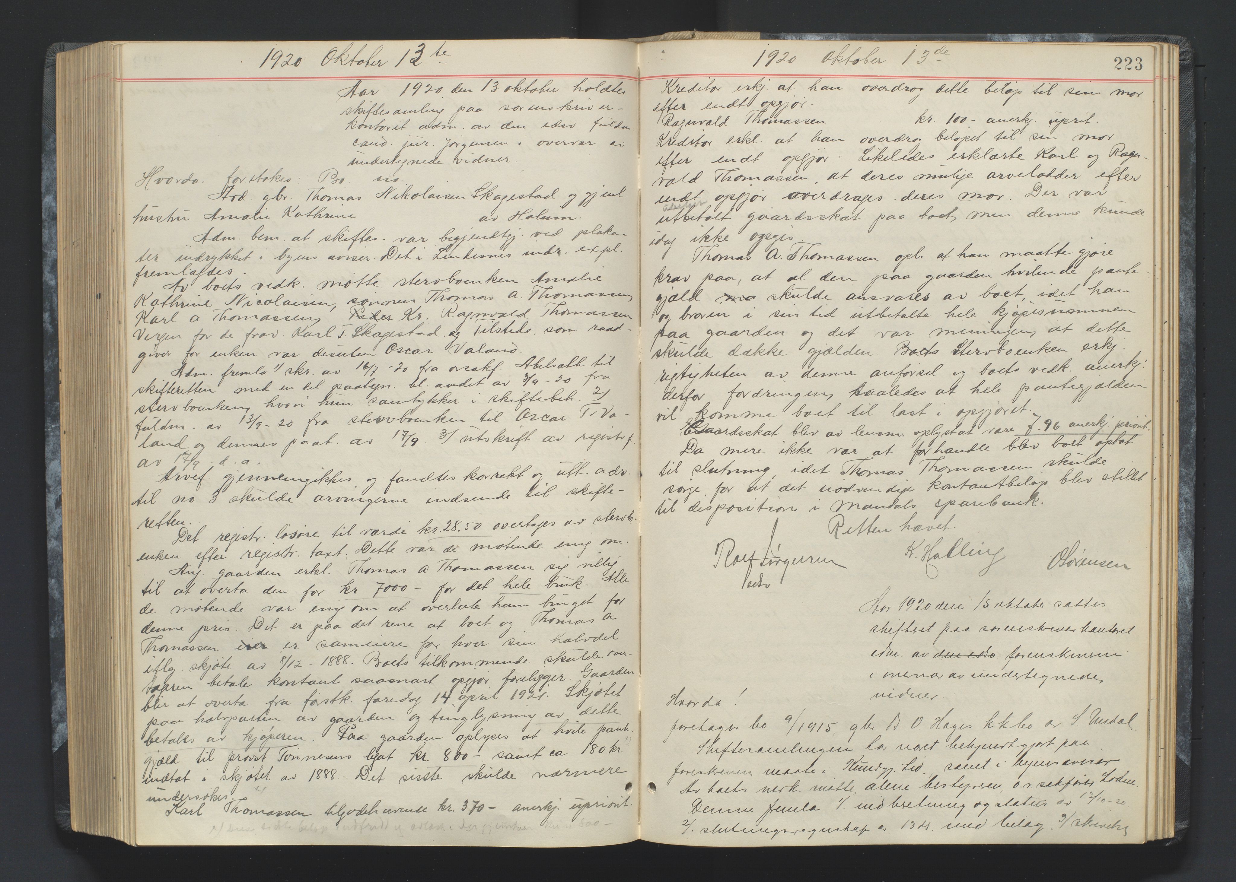 Mandal sorenskriveri, AV/SAK-1221-0005/001/H/Hc/L0083: Skifteforhandlingsprotokoll nr 15, 1917-1921, p. 223