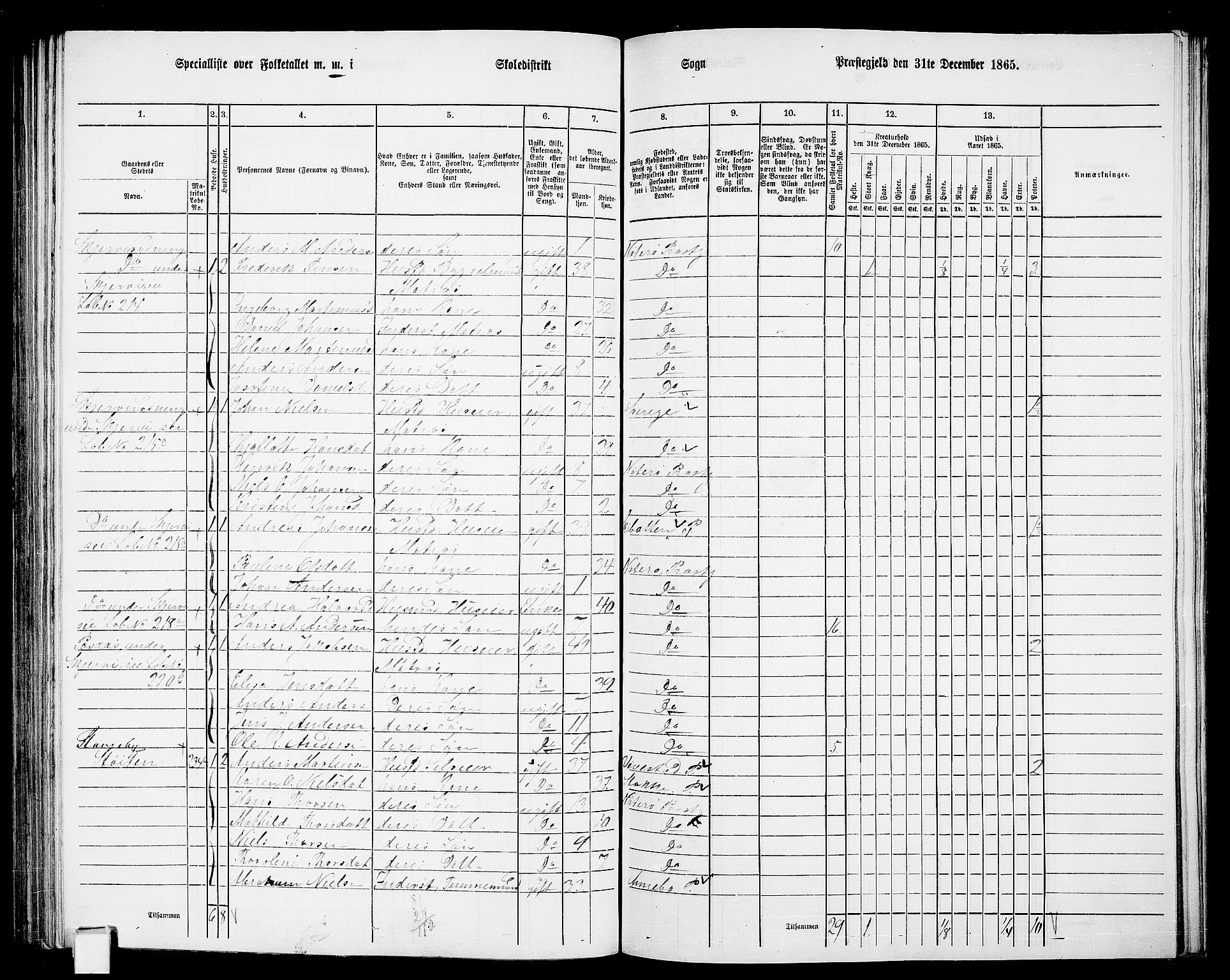 RA, 1865 census for Nøtterøy, 1865, p. 171