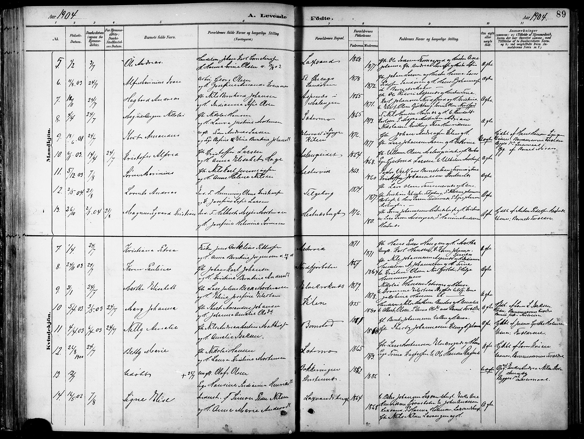 Balsfjord sokneprestembete, AV/SATØ-S-1303/G/Gab/L0008klokker: Parish register (copy) no. 8, 1890-1906, p. 89