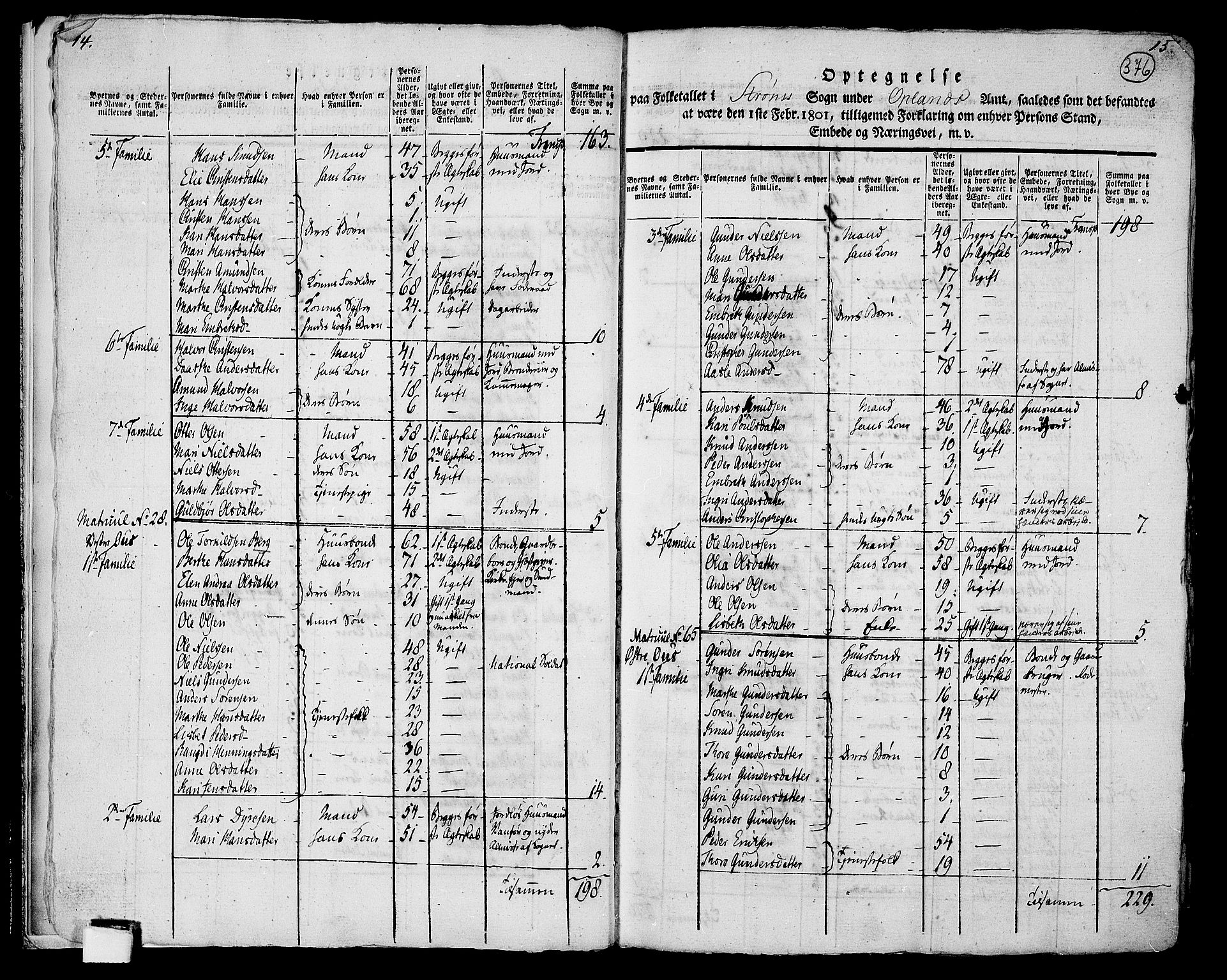 RA, 1801 census for 0419P Strøm, 1801, p. 375b-376a