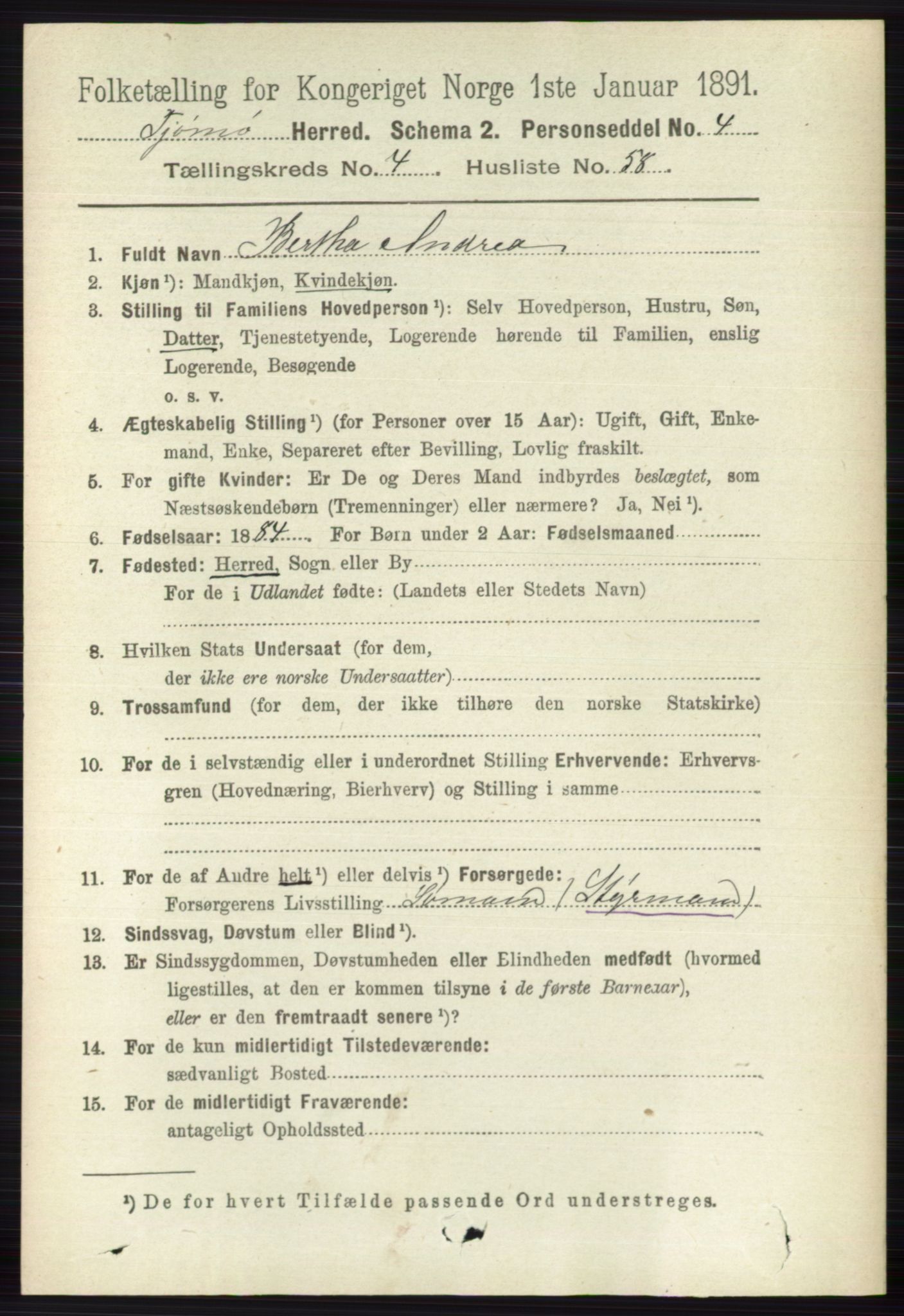 RA, 1891 census for 0723 Tjøme, 1891, p. 1597