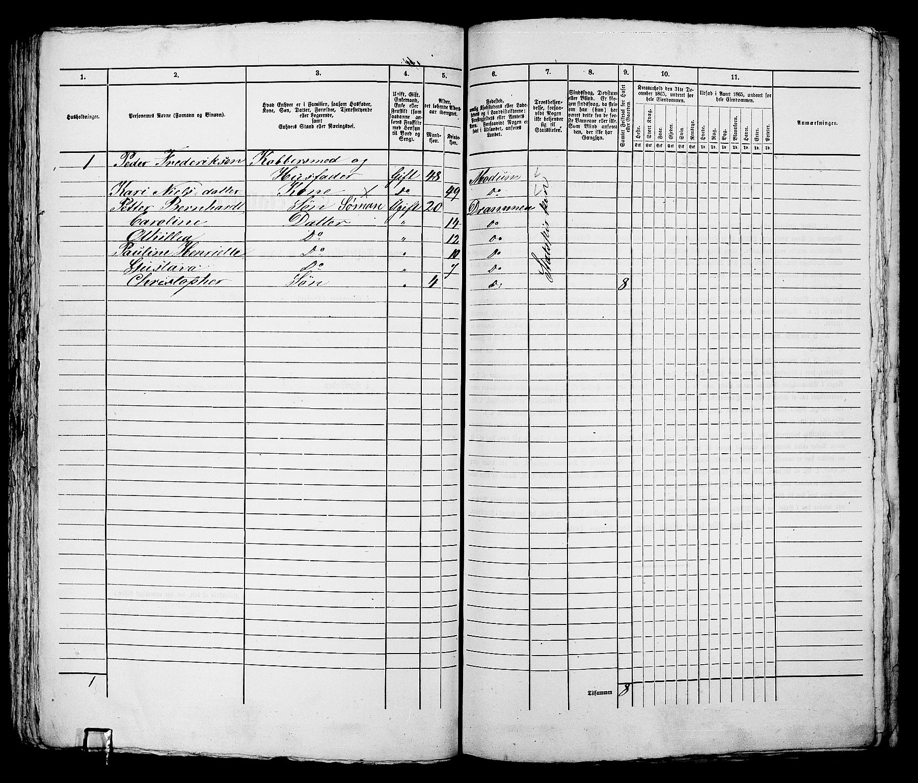 RA, 1865 census for Bragernes in Drammen, 1865, p. 226