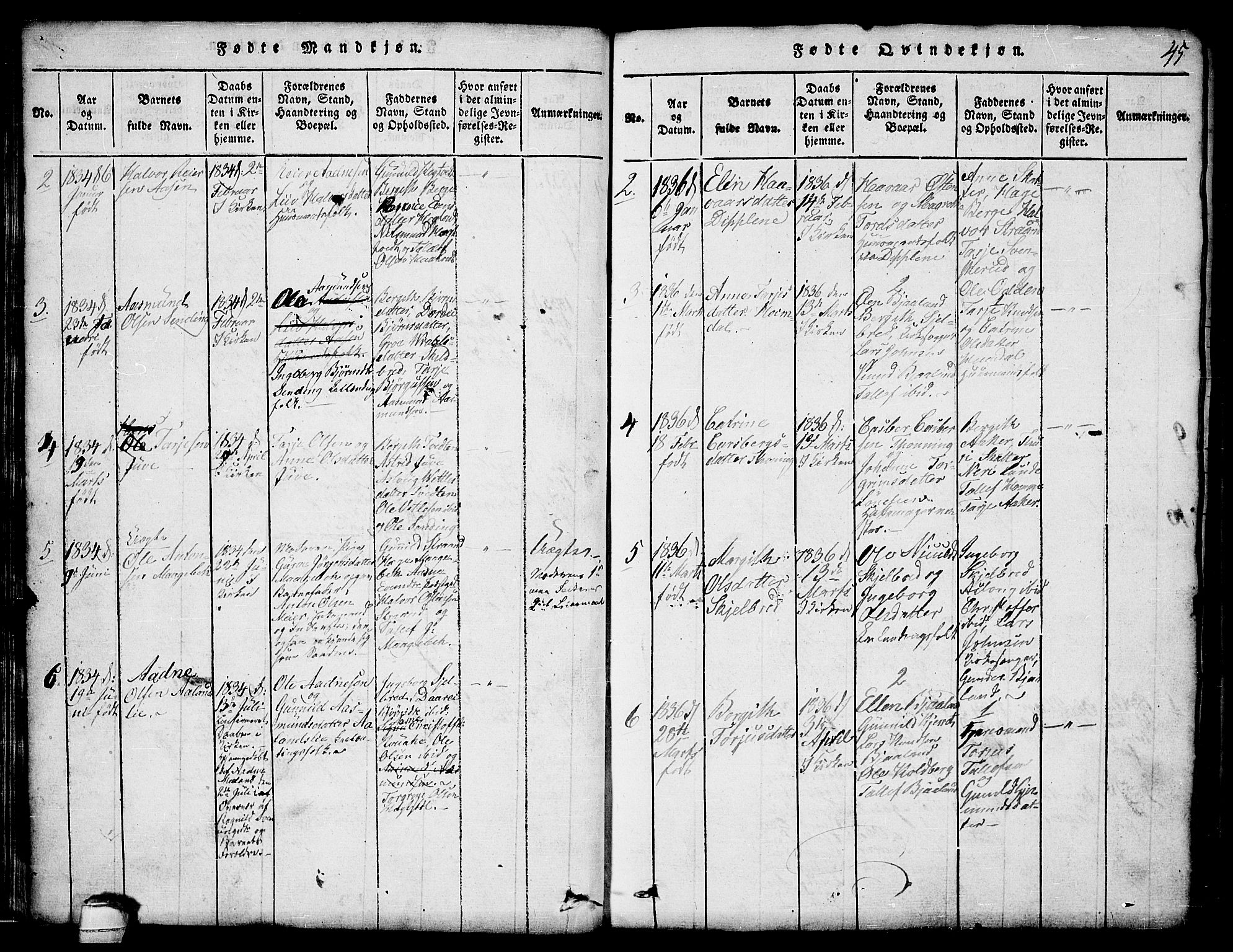 Lårdal kirkebøker, SAKO/A-284/G/Ga/L0001: Parish register (copy) no. I 1, 1815-1861, p. 45