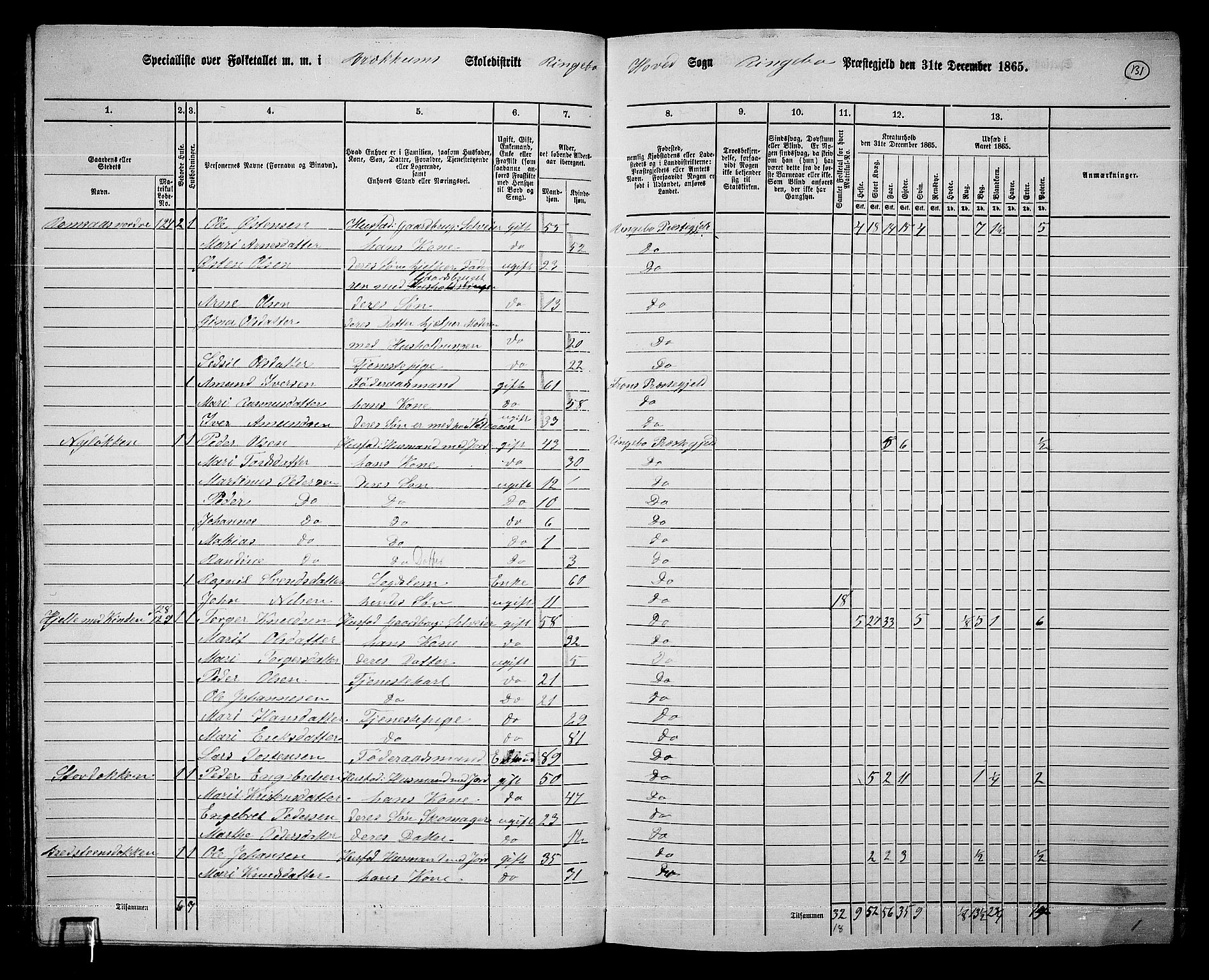 RA, 1865 census for Ringebu, 1865, p. 109