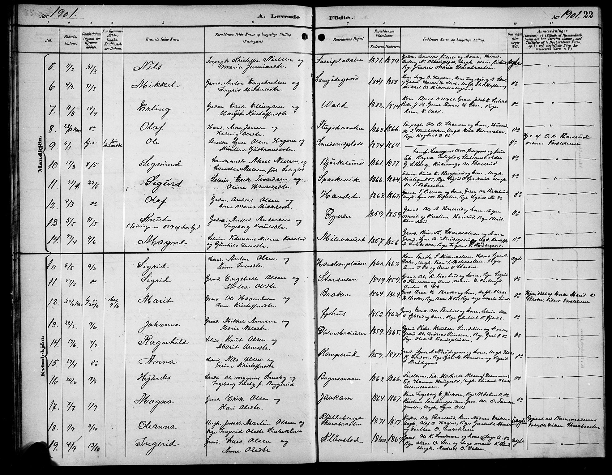 Sør-Aurdal prestekontor, SAH/PREST-128/H/Ha/Hab/L0009: Parish register (copy) no. 9, 1894-1924, p. 22