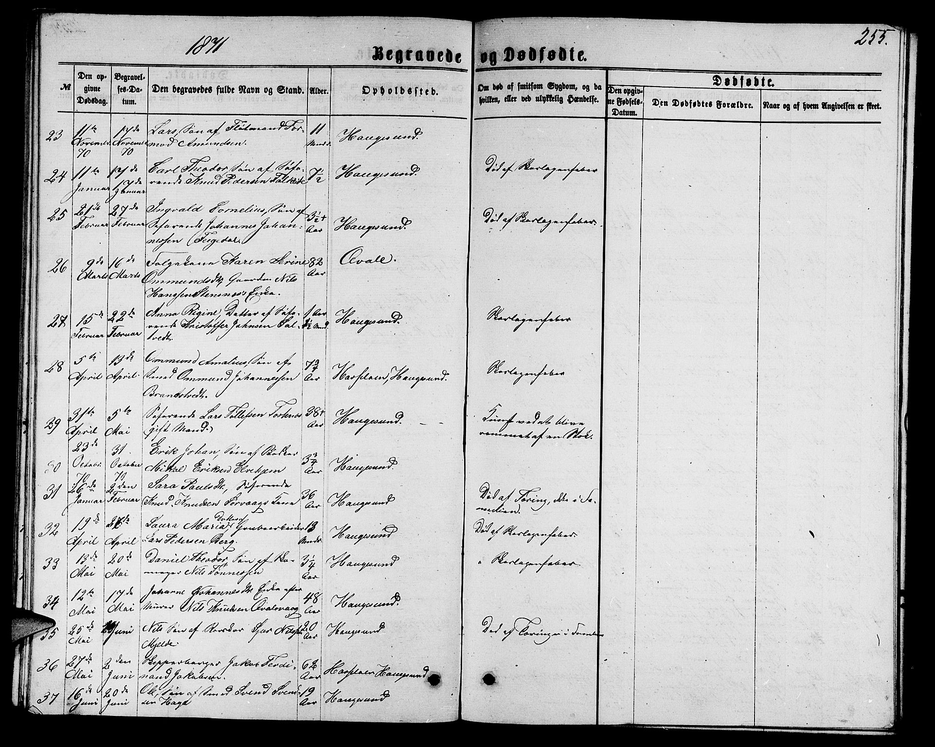 Torvastad sokneprestkontor, AV/SAST-A -101857/H/Ha/Hab/L0007: Parish register (copy) no. B 7, 1866-1873, p. 255