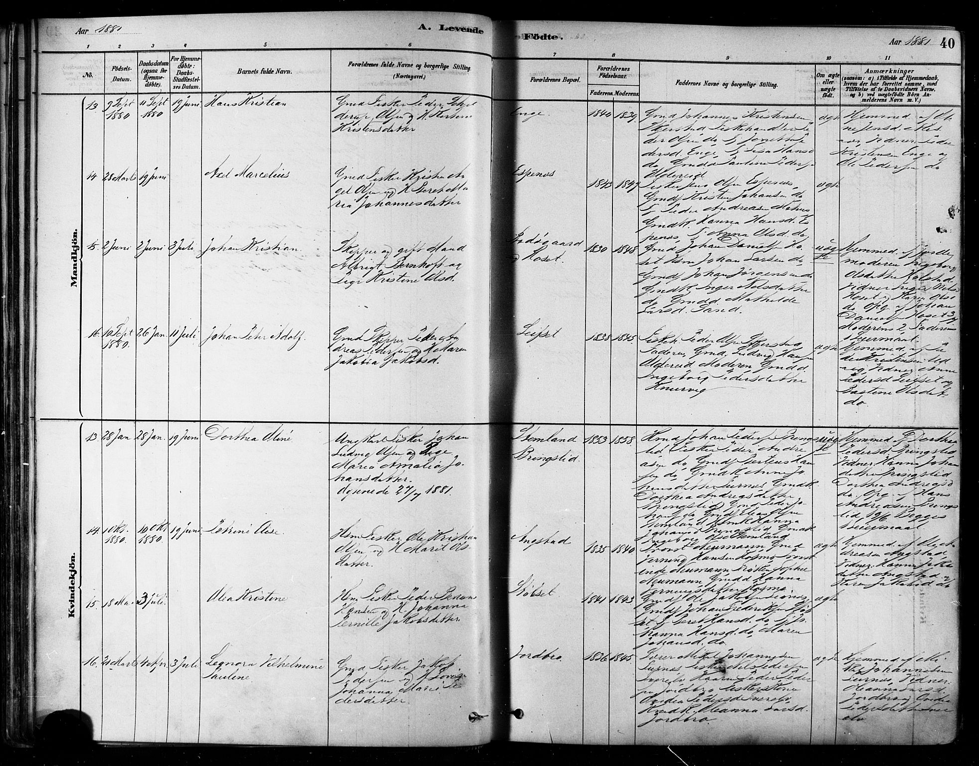 Ministerialprotokoller, klokkerbøker og fødselsregistre - Nordland, AV/SAT-A-1459/852/L0740: Parish register (official) no. 852A10, 1878-1894, p. 40