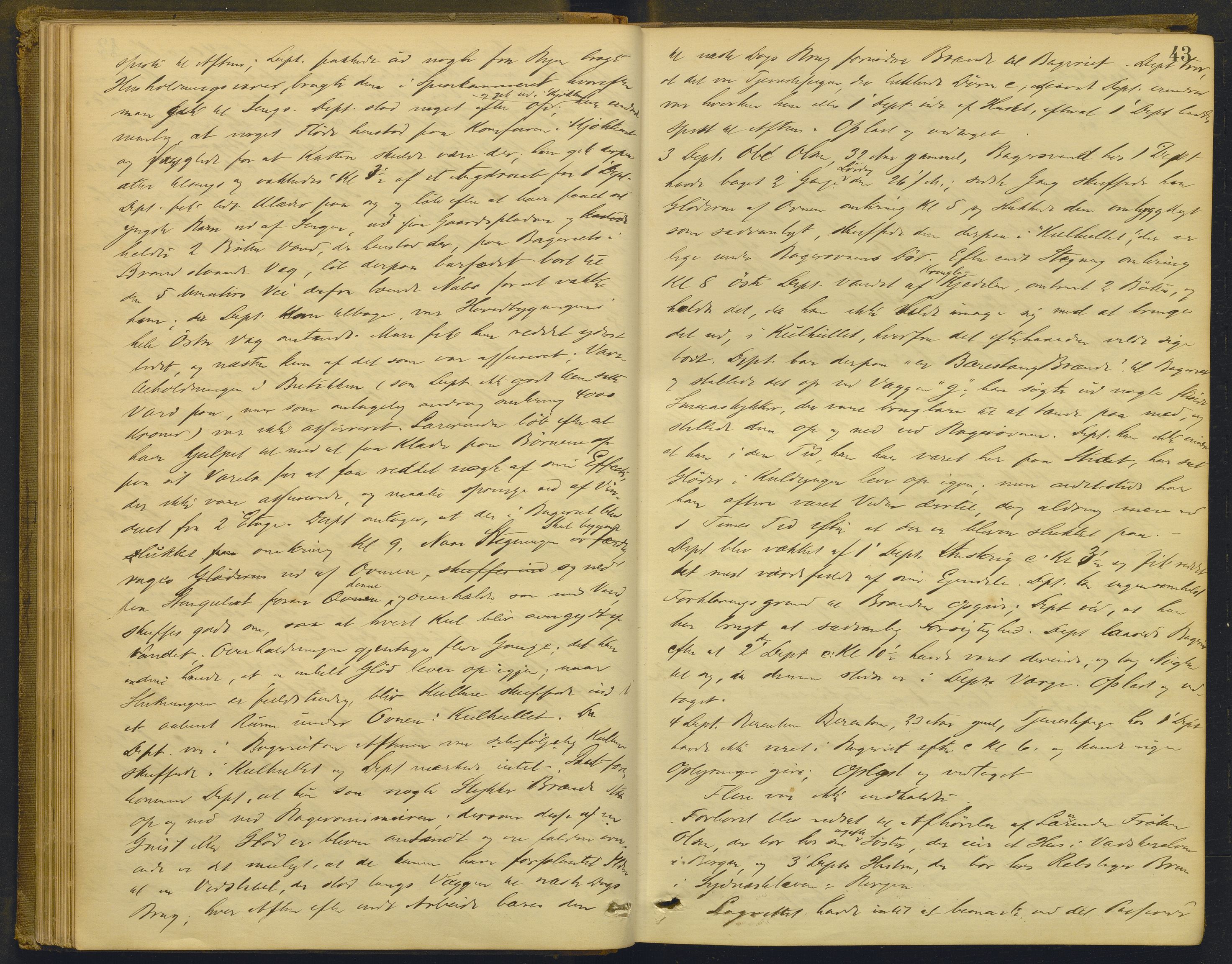 Nordhordland sorenskrivar, AV/SAB-A-2901/1/F/Fd/Fdd/L0004: Ekstrarettsprotokollar, forhøyr, 1880-1884, p. 42b-43a