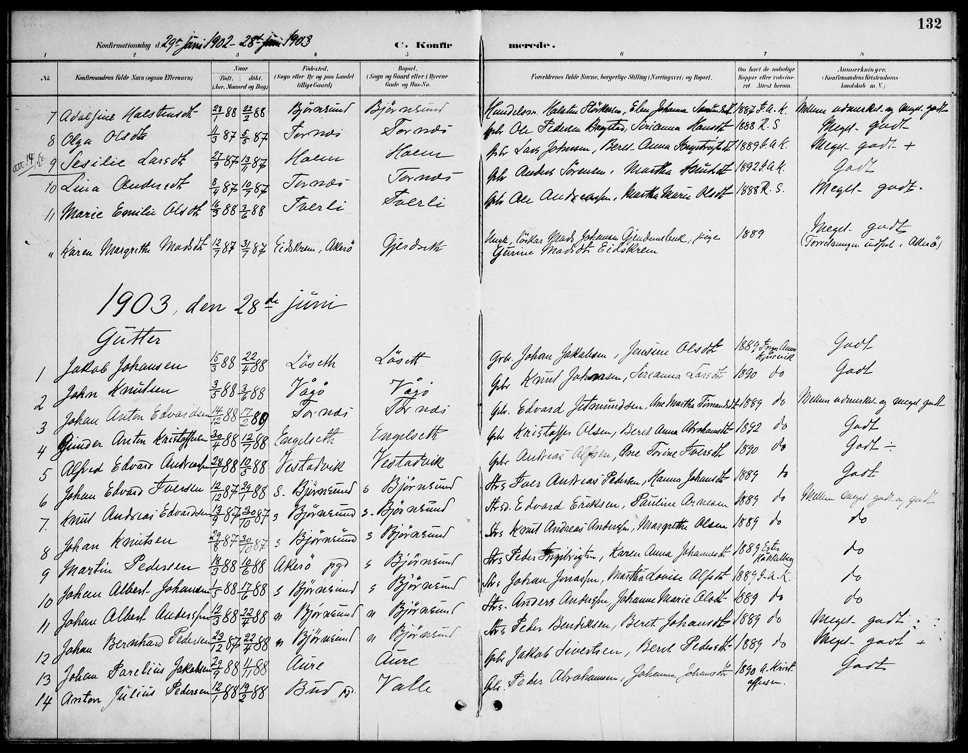 Ministerialprotokoller, klokkerbøker og fødselsregistre - Møre og Romsdal, AV/SAT-A-1454/565/L0750: Parish register (official) no. 565A04, 1887-1905, p. 132