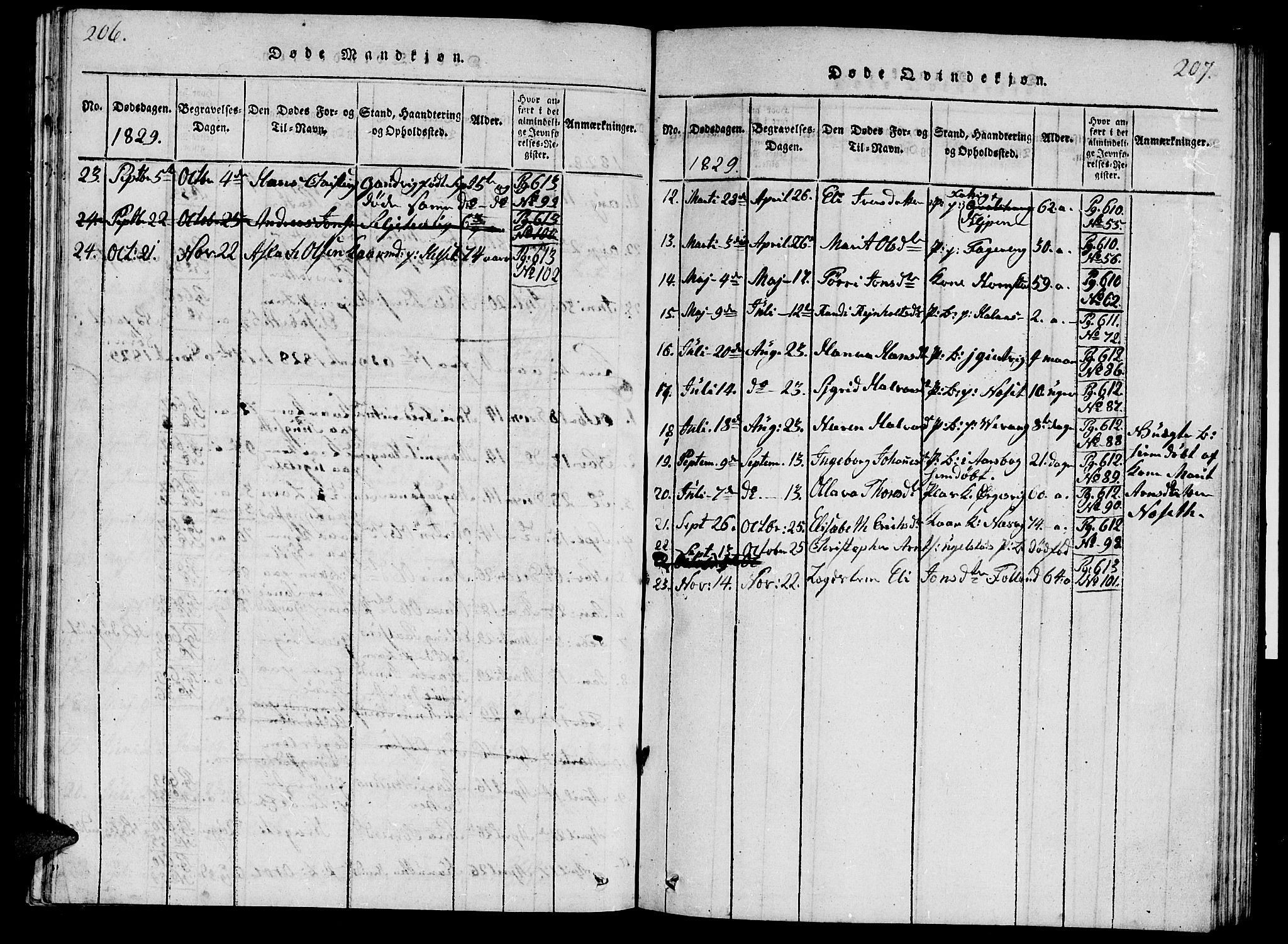 Ministerialprotokoller, klokkerbøker og fødselsregistre - Møre og Romsdal, SAT/A-1454/570/L0831: Parish register (official) no. 570A05, 1819-1829, p. 206-207