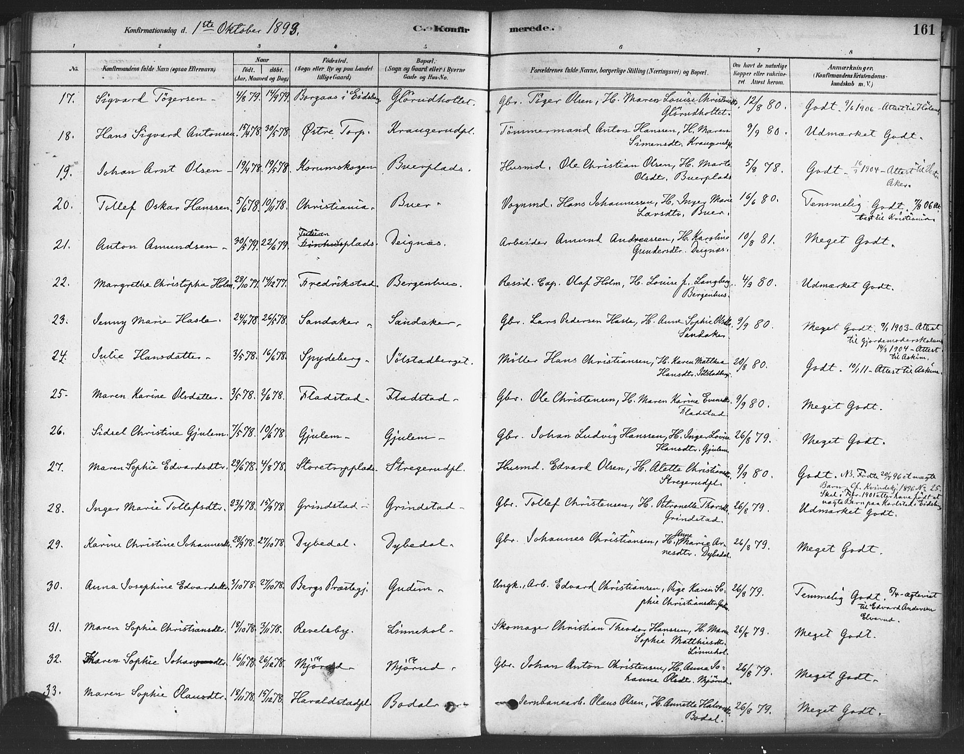 Rakkestad prestekontor Kirkebøker, AV/SAO-A-2008/F/Fa/L0012: Parish register (official) no. I 12, 1878-1893, p. 161