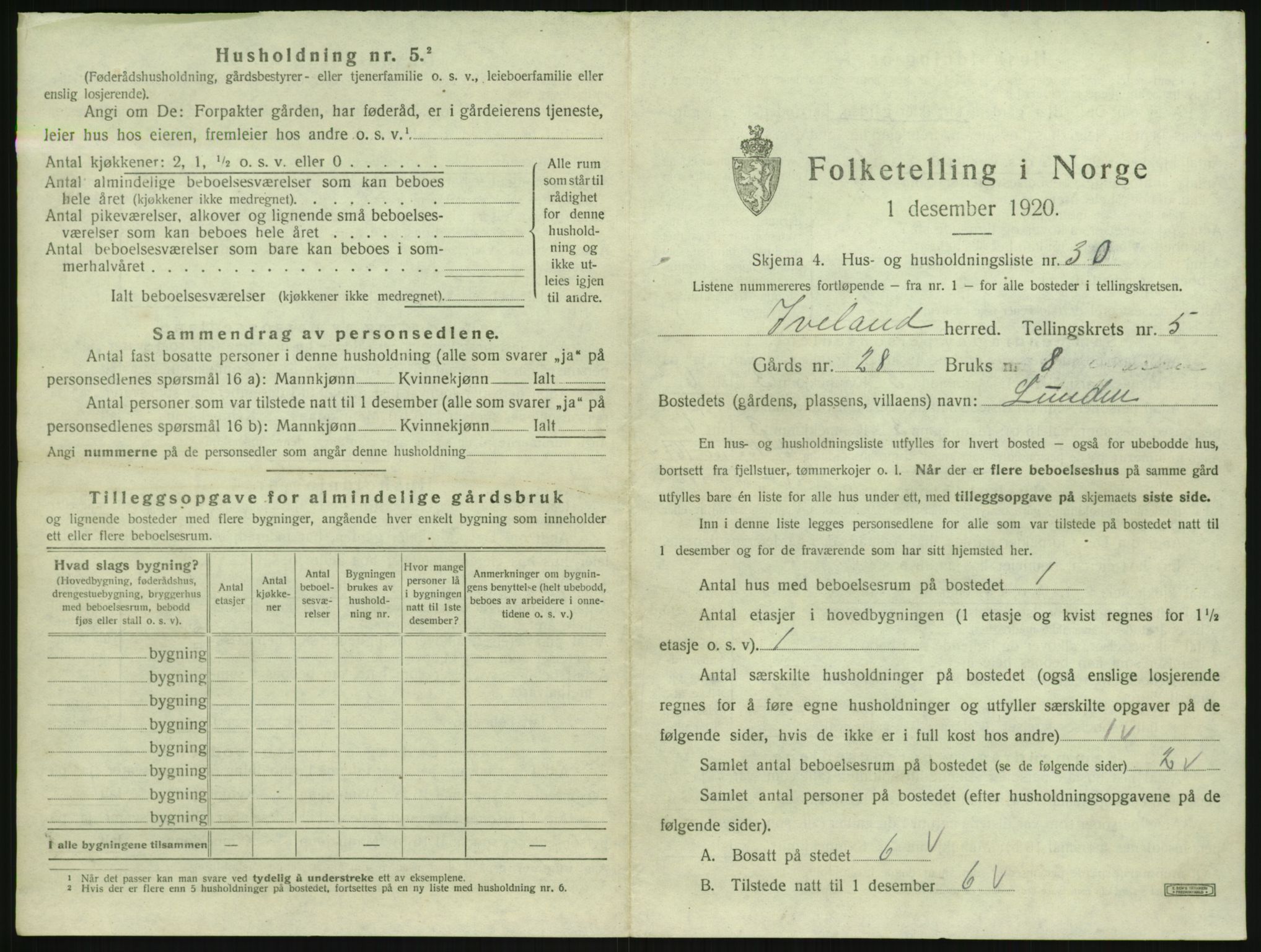 SAK, 1920 census for Iveland, 1920, p. 299