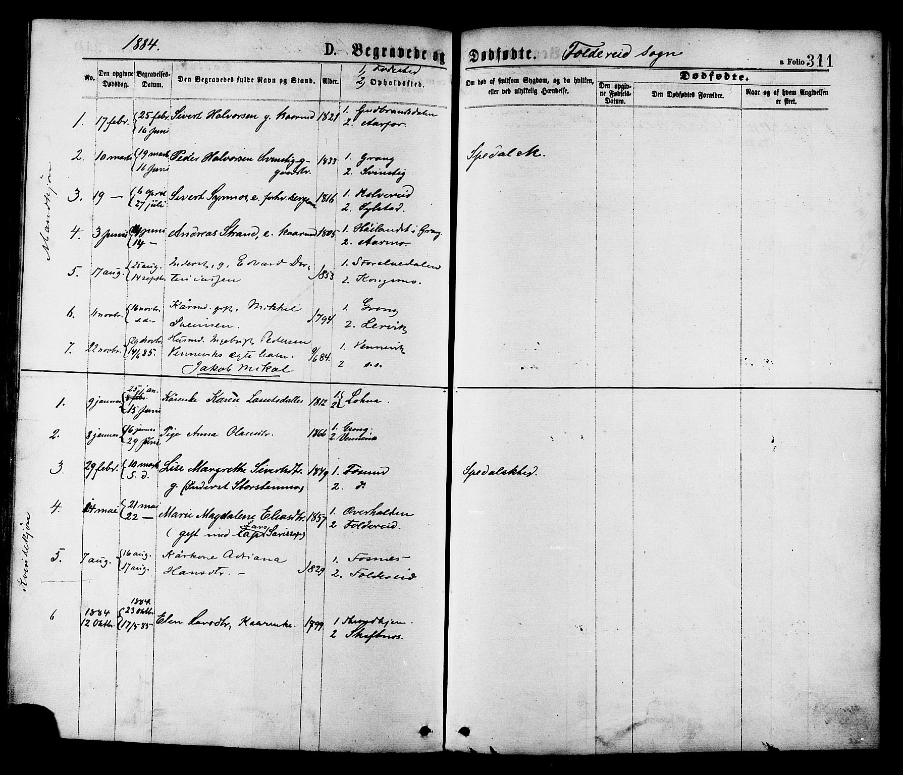 Ministerialprotokoller, klokkerbøker og fødselsregistre - Nord-Trøndelag, AV/SAT-A-1458/780/L0642: Parish register (official) no. 780A07 /2, 1878-1885, p. 311
