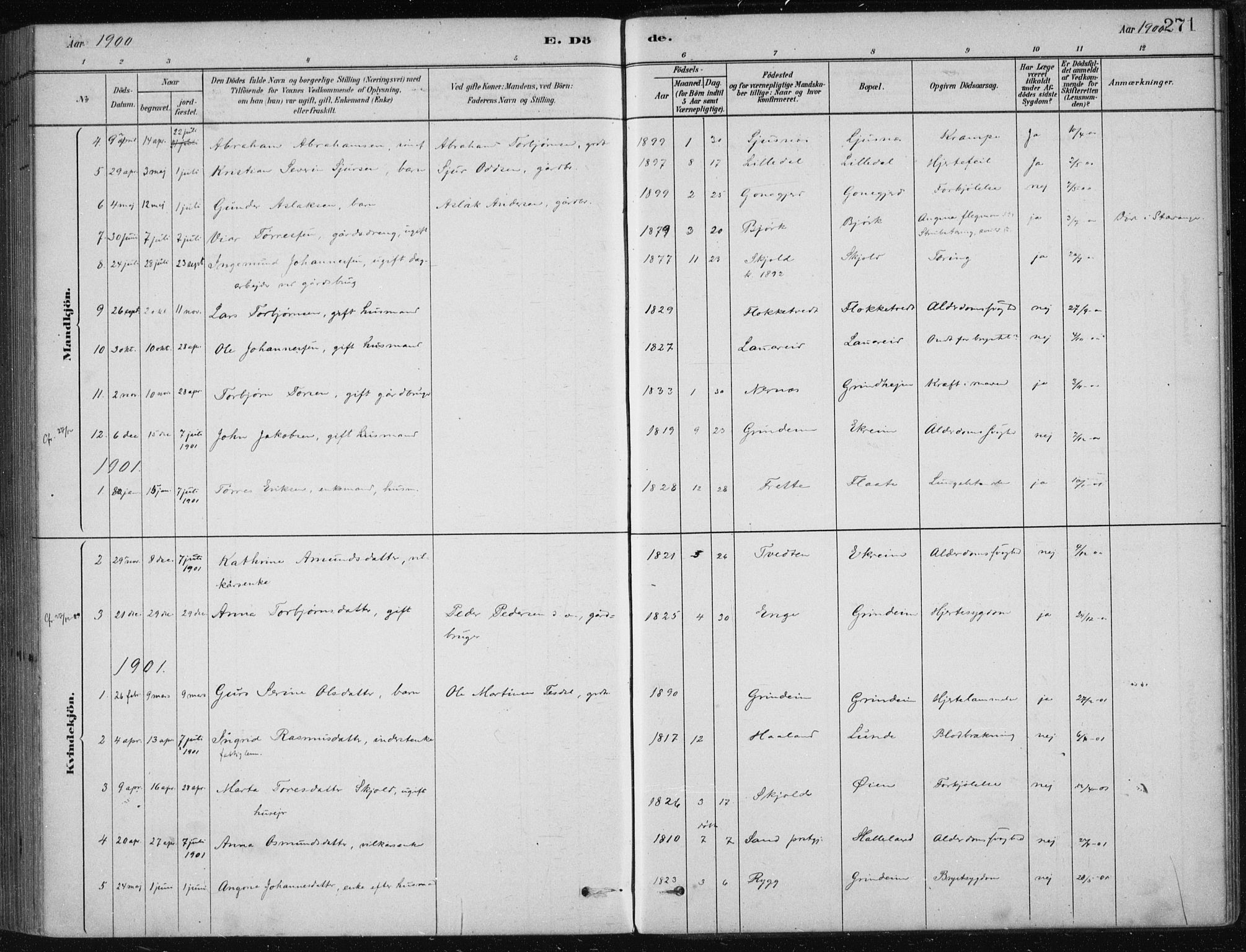 Etne sokneprestembete, SAB/A-75001/H/Haa: Parish register (official) no. D  1, 1879-1919, p. 271
