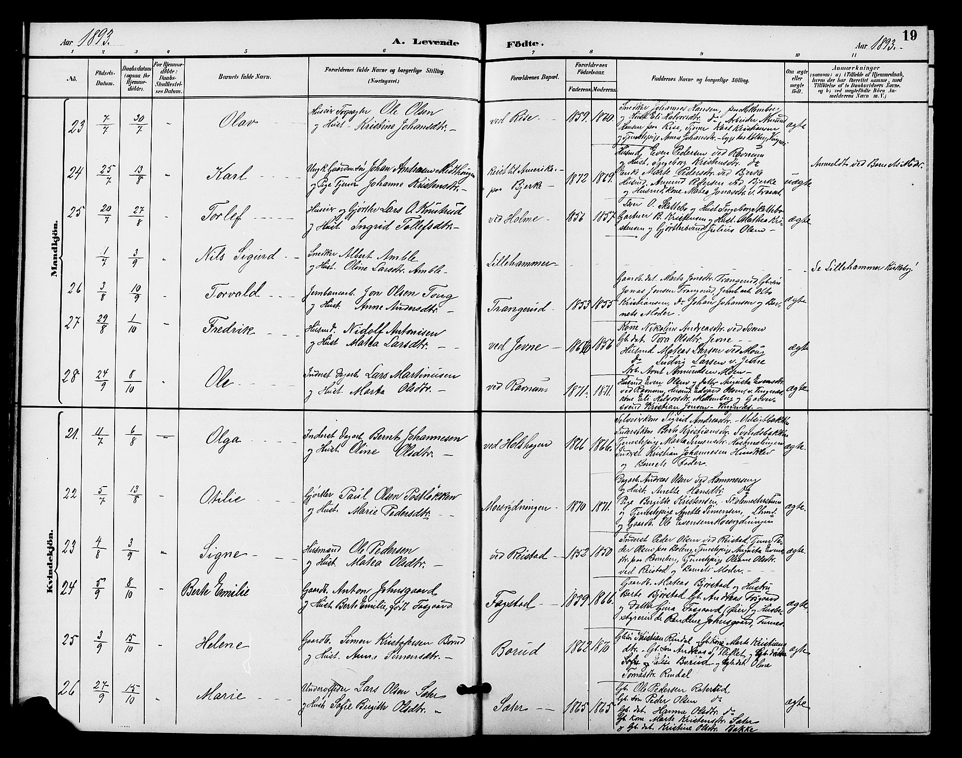 Fåberg prestekontor, AV/SAH-PREST-086/H/Ha/Hab/L0009: Parish register (copy) no. 9, 1891-1902, p. 19