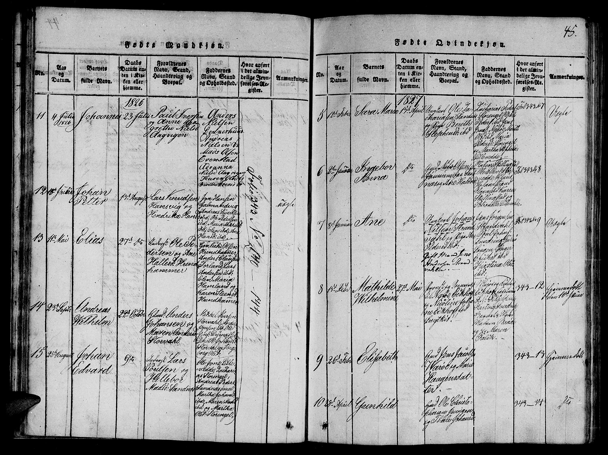 Ministerialprotokoller, klokkerbøker og fødselsregistre - Nord-Trøndelag, SAT/A-1458/784/L0667: Parish register (official) no. 784A03 /1, 1816-1829, p. 45