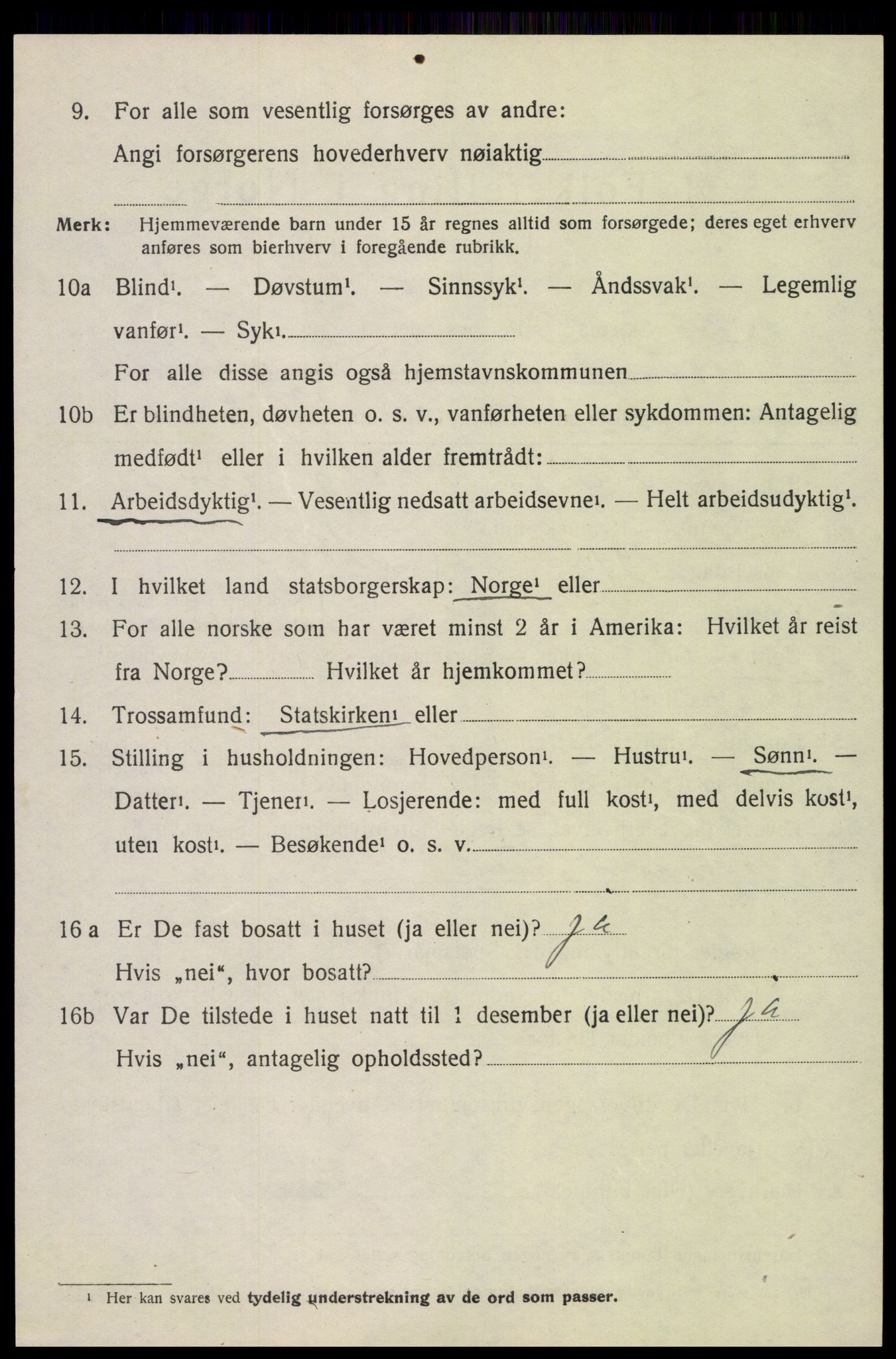 SAH, 1920 census for Lesja, 1920, p. 6137