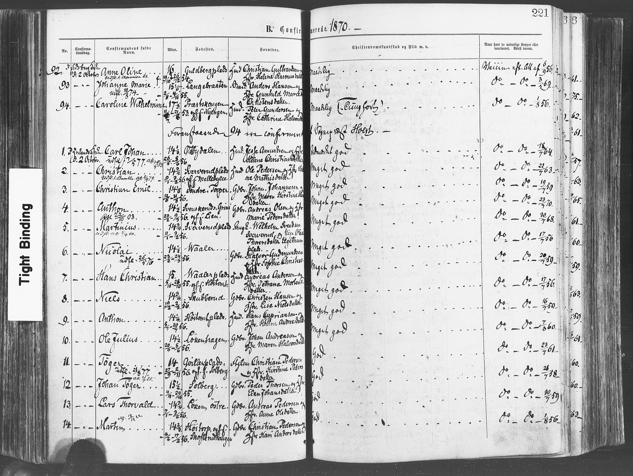 Eidsberg prestekontor Kirkebøker, SAO/A-10905/F/Fa/L0011: Parish register (official) no. I 11, 1867-1878, p. 221