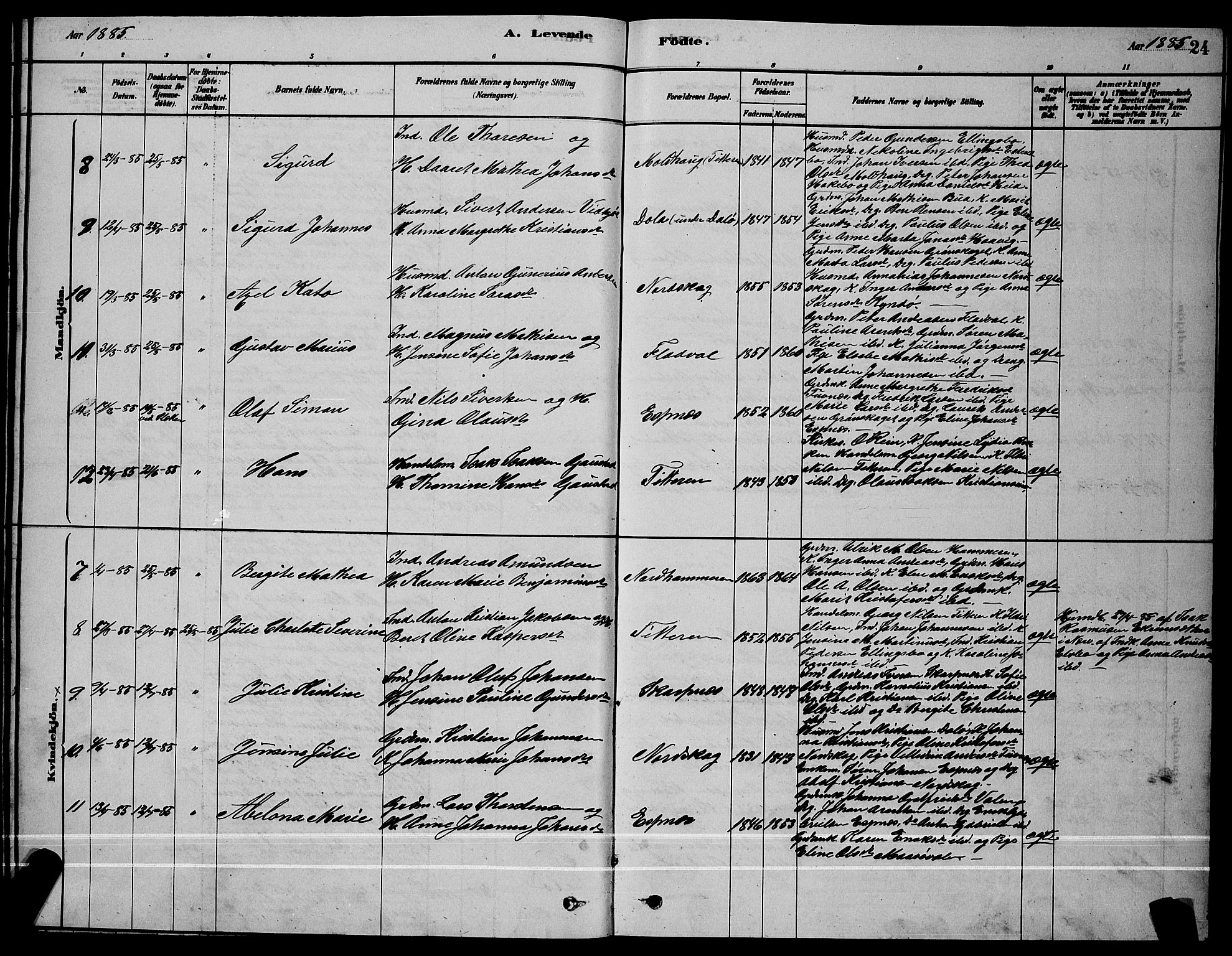 Ministerialprotokoller, klokkerbøker og fødselsregistre - Sør-Trøndelag, SAT/A-1456/641/L0597: Parish register (copy) no. 641C01, 1878-1893, p. 24