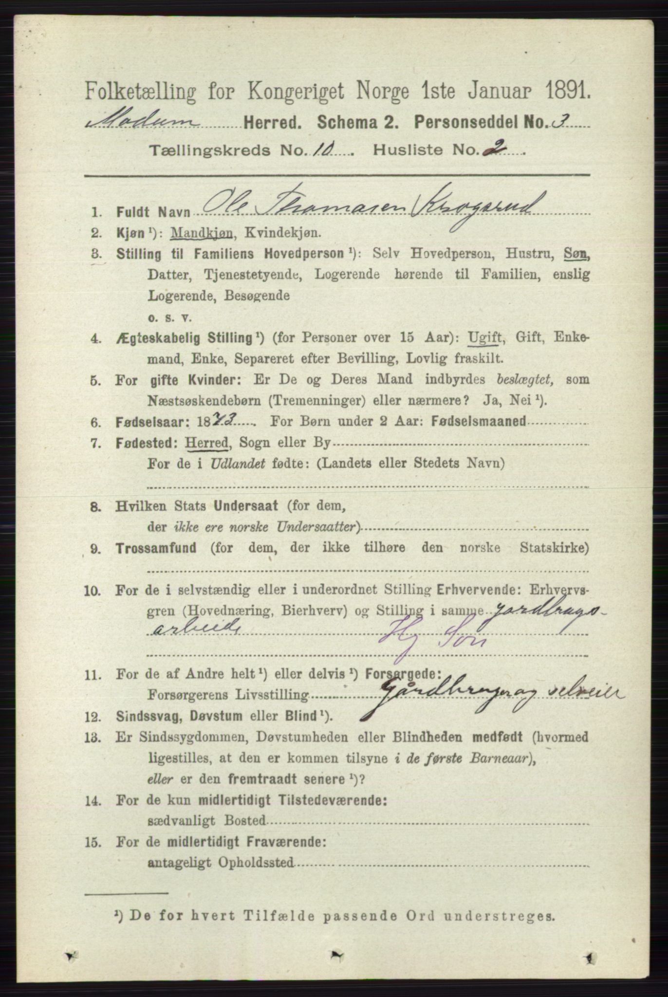 RA, 1891 census for 0623 Modum, 1891, p. 3977