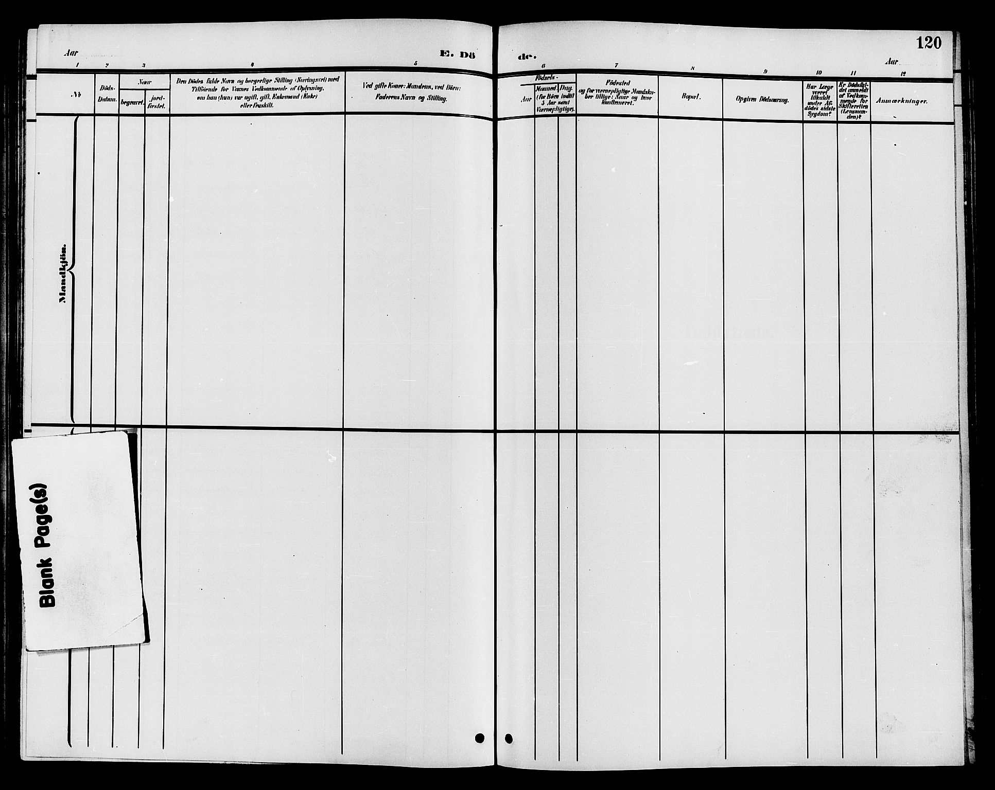 Øystre Slidre prestekontor, AV/SAH-PREST-138/H/Ha/Hab/L0004: Parish register (copy) no. 4, 1887-1907, p. 120c