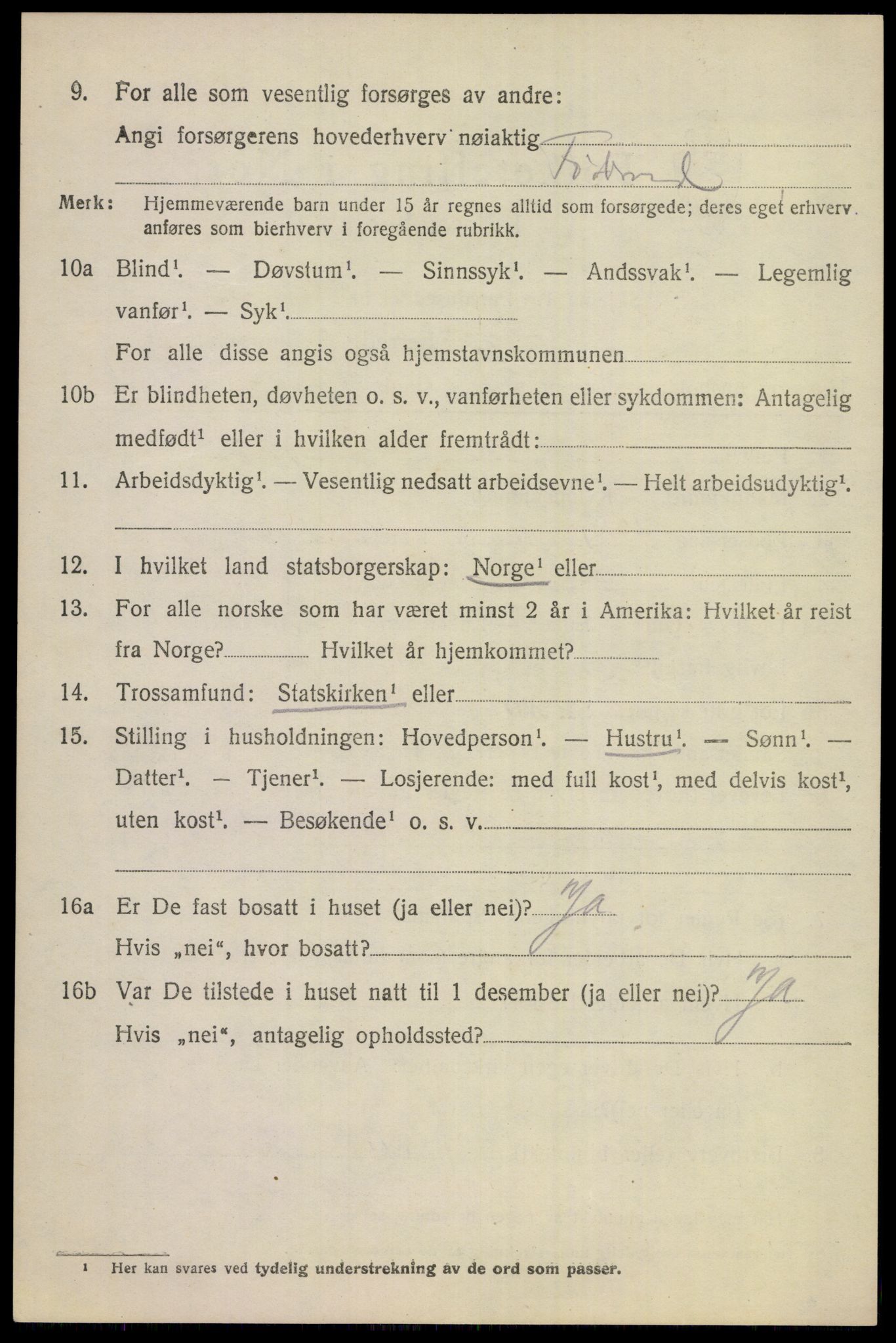 SAKO, 1920 census for Hol (Buskerud), 1920, p. 2414