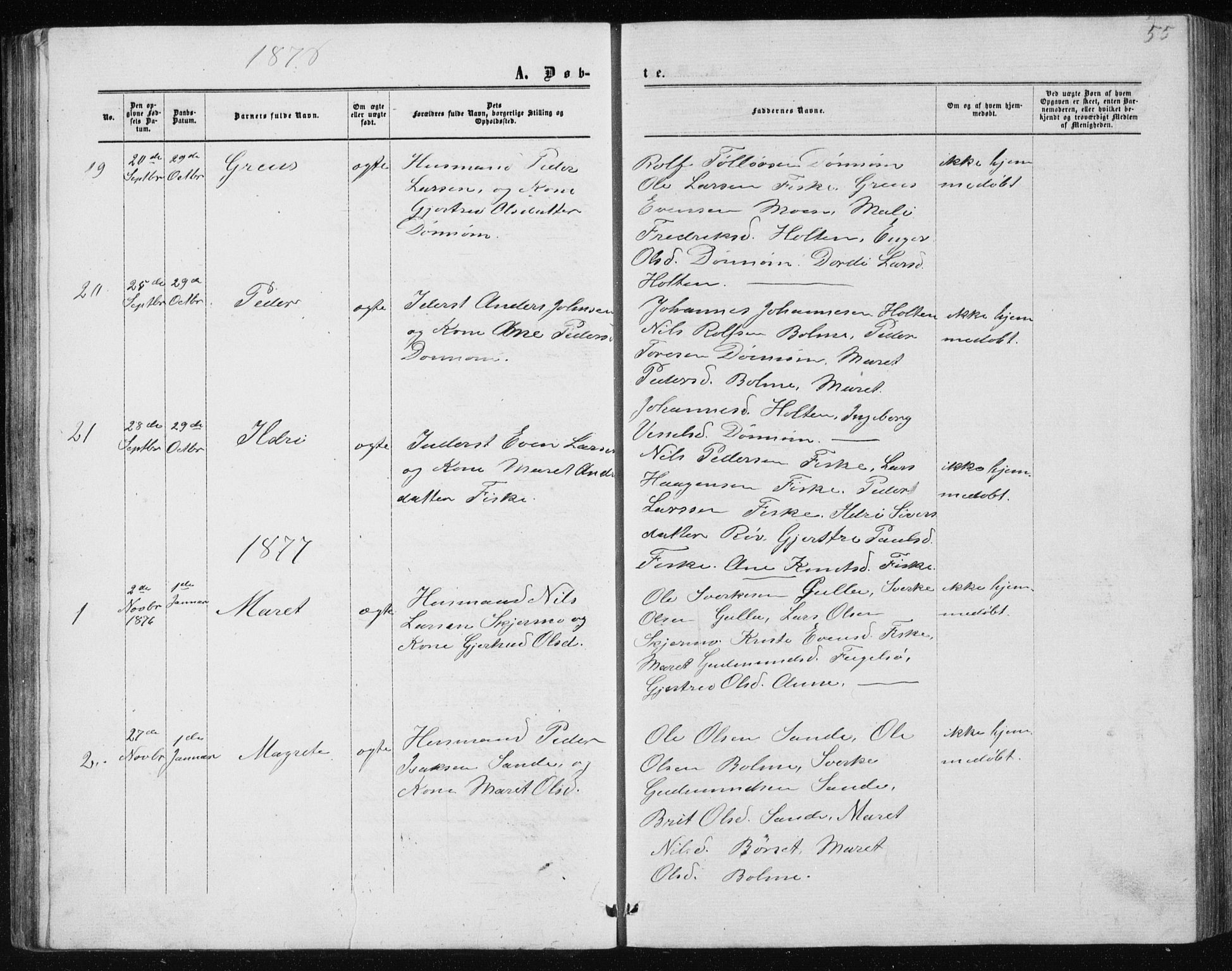 Ministerialprotokoller, klokkerbøker og fødselsregistre - Møre og Romsdal, AV/SAT-A-1454/597/L1064: Parish register (copy) no. 597C01, 1866-1898, p. 55