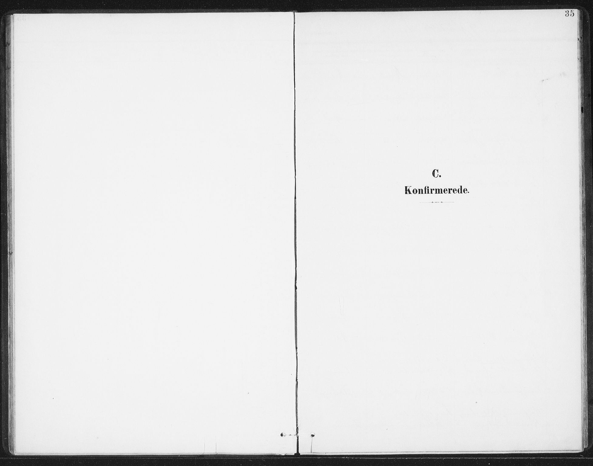 Ministerialprotokoller, klokkerbøker og fødselsregistre - Nordland, SAT/A-1459/811/L0167: Parish register (official) no. 811A04, 1899-1913, p. 35