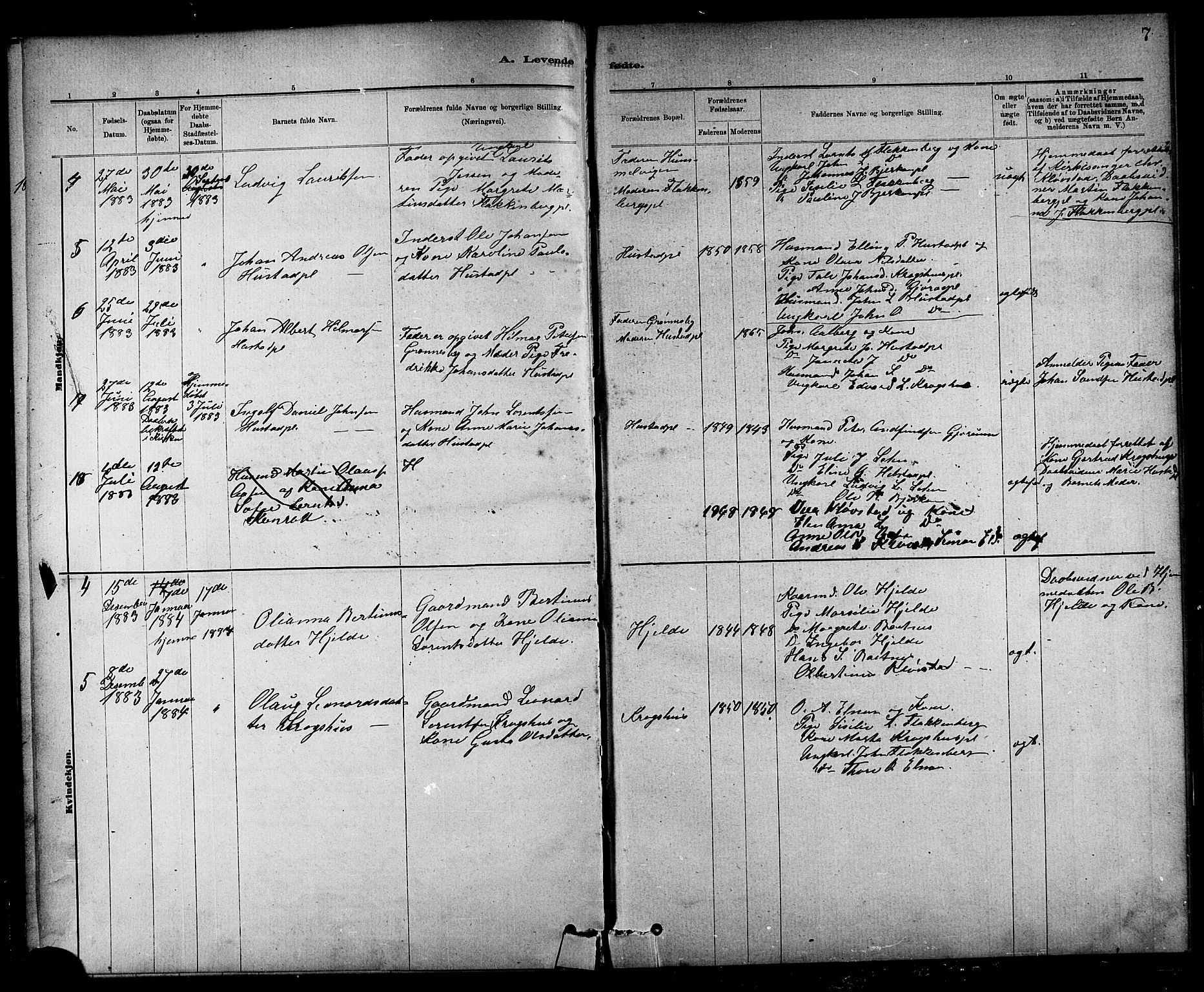 Ministerialprotokoller, klokkerbøker og fødselsregistre - Nord-Trøndelag, AV/SAT-A-1458/732/L0318: Parish register (copy) no. 732C02, 1881-1911, p. 7