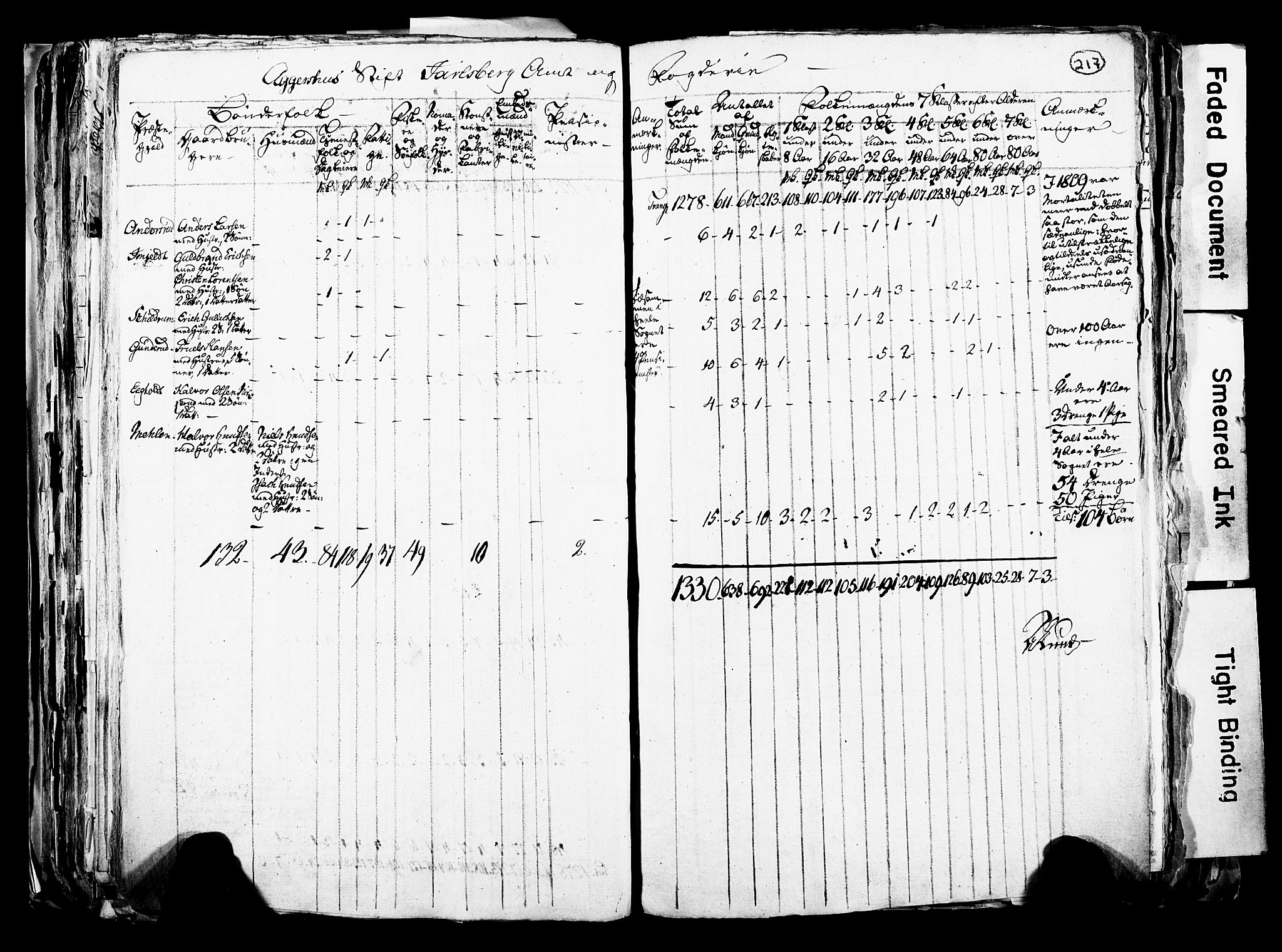 RA, Census 1815 for Skoger parish, 1815, p. 217