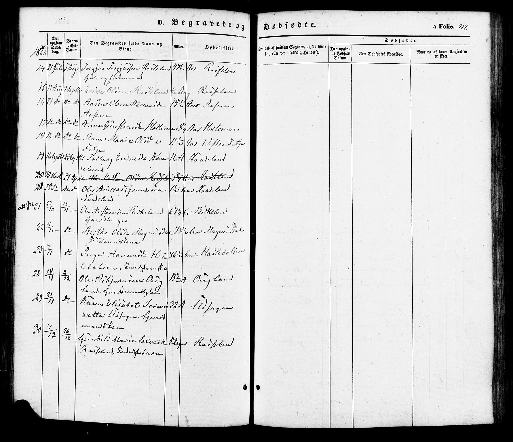 Søgne sokneprestkontor, AV/SAK-1111-0037/F/Fa/Faa/L0002: Parish register (official) no. A 2, 1854-1882, p. 217