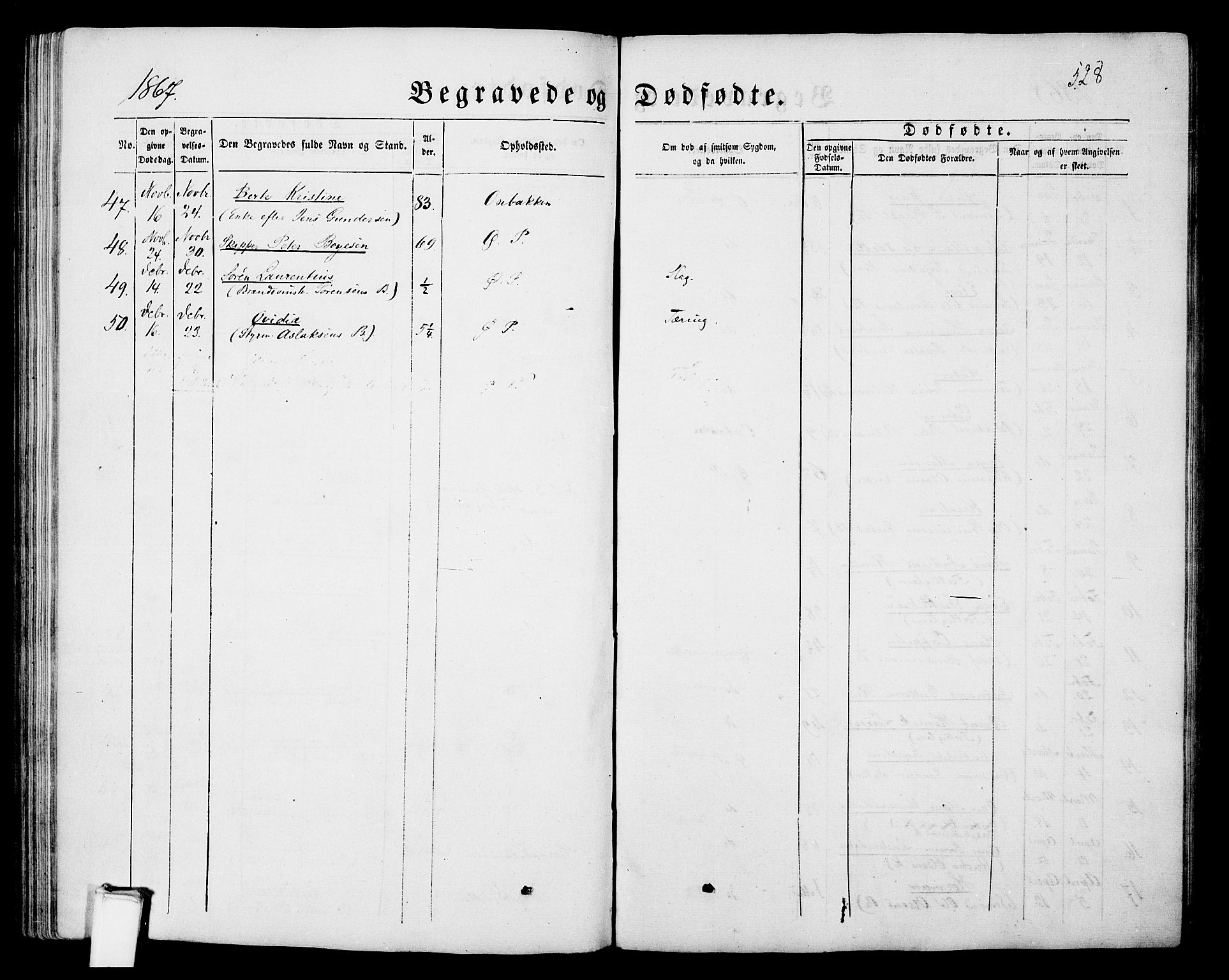 Porsgrunn kirkebøker , SAKO/A-104/G/Gb/L0004: Parish register (copy) no. II 4, 1853-1882, p. 528