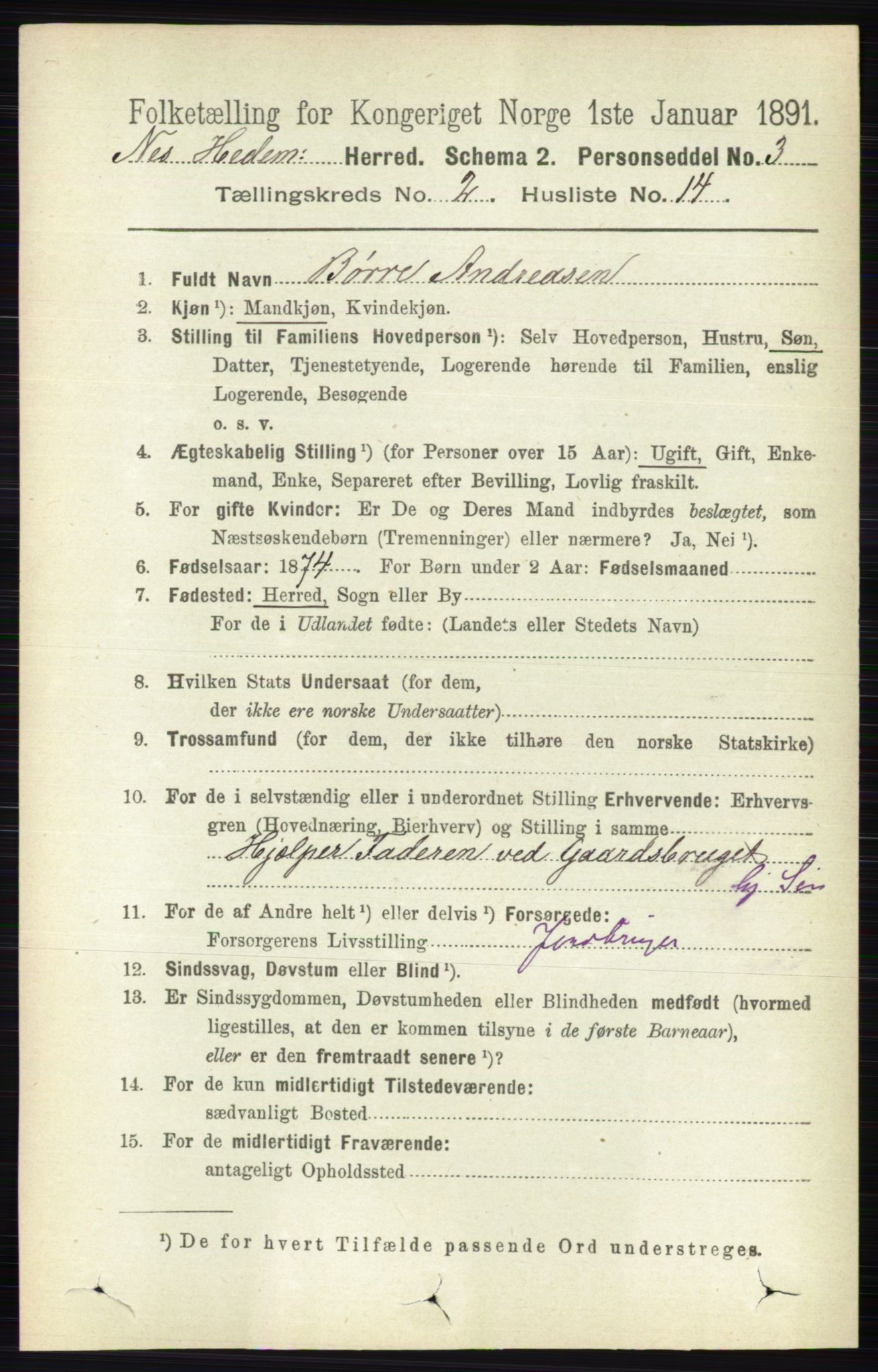 RA, 1891 census for 0411 Nes, 1891, p. 1153