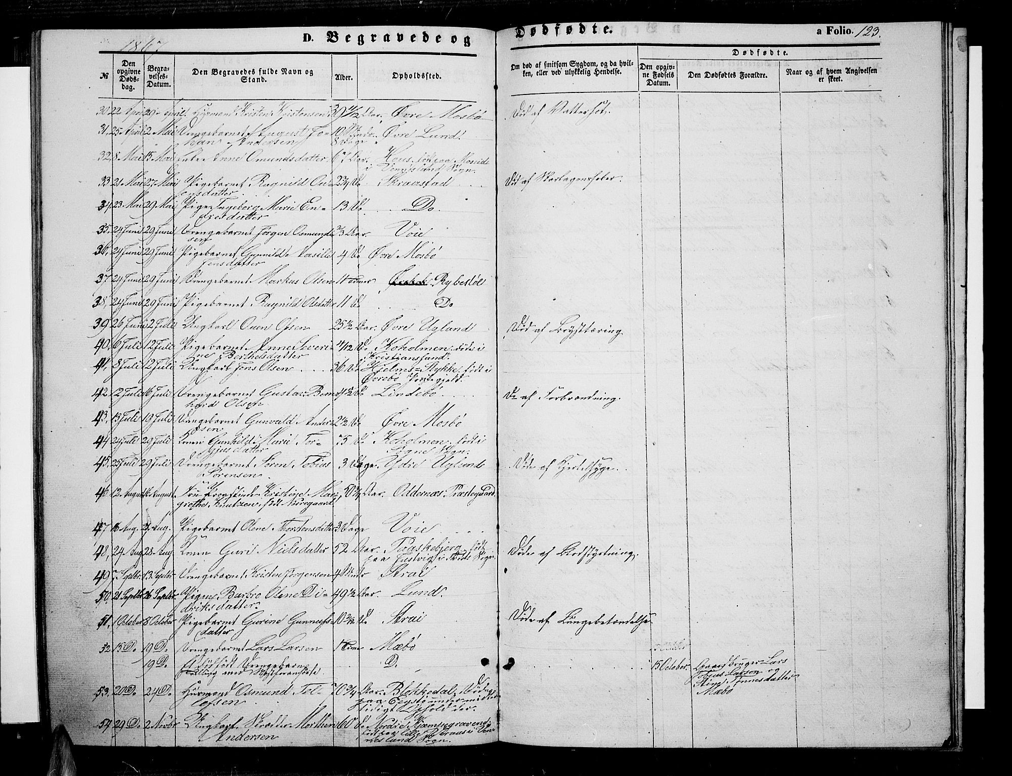 Oddernes sokneprestkontor, AV/SAK-1111-0033/F/Fb/Fba/L0006: Parish register (copy) no. B 6 /1, 1860-1869, p. 123