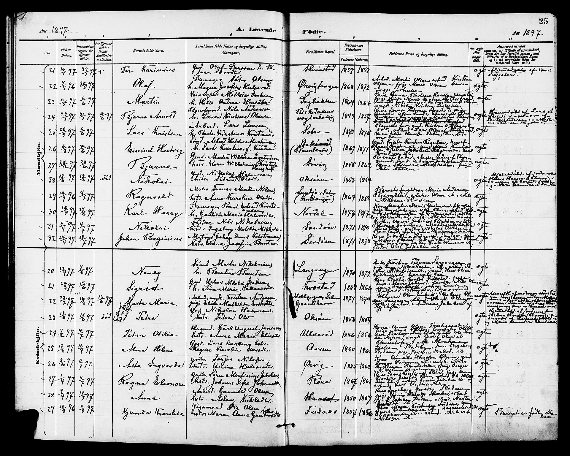 Eidanger kirkebøker, AV/SAKO-A-261/G/Ga/L0003: Parish register (copy) no. 3, 1893-1911, p. 25