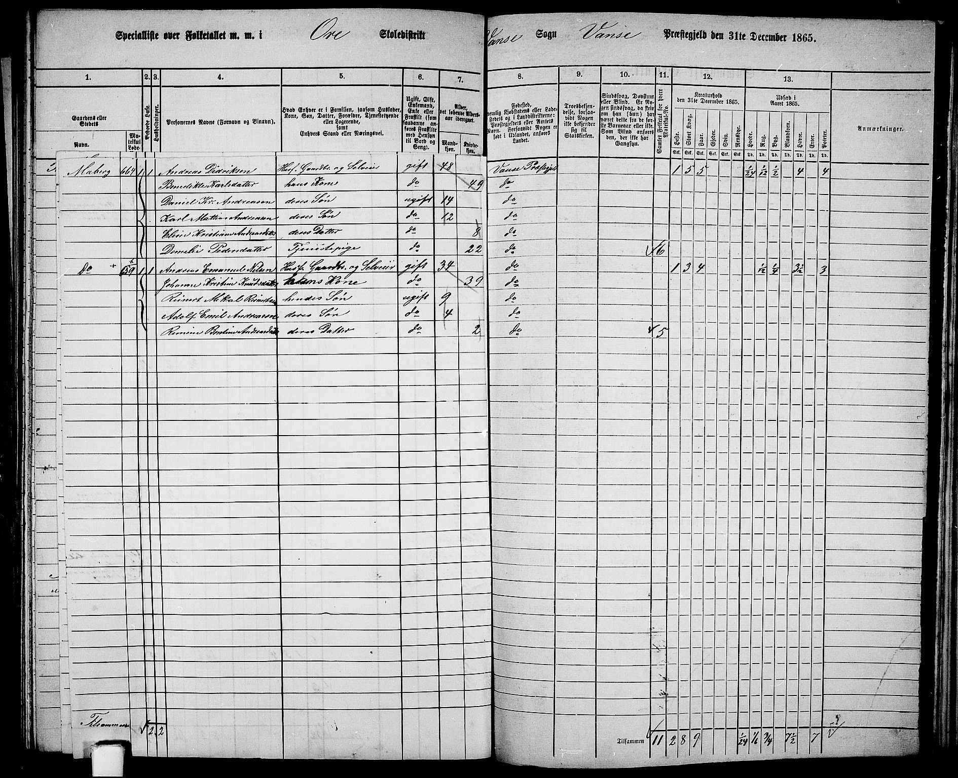 RA, 1865 census for Vanse/Vanse og Farsund, 1865, p. 231