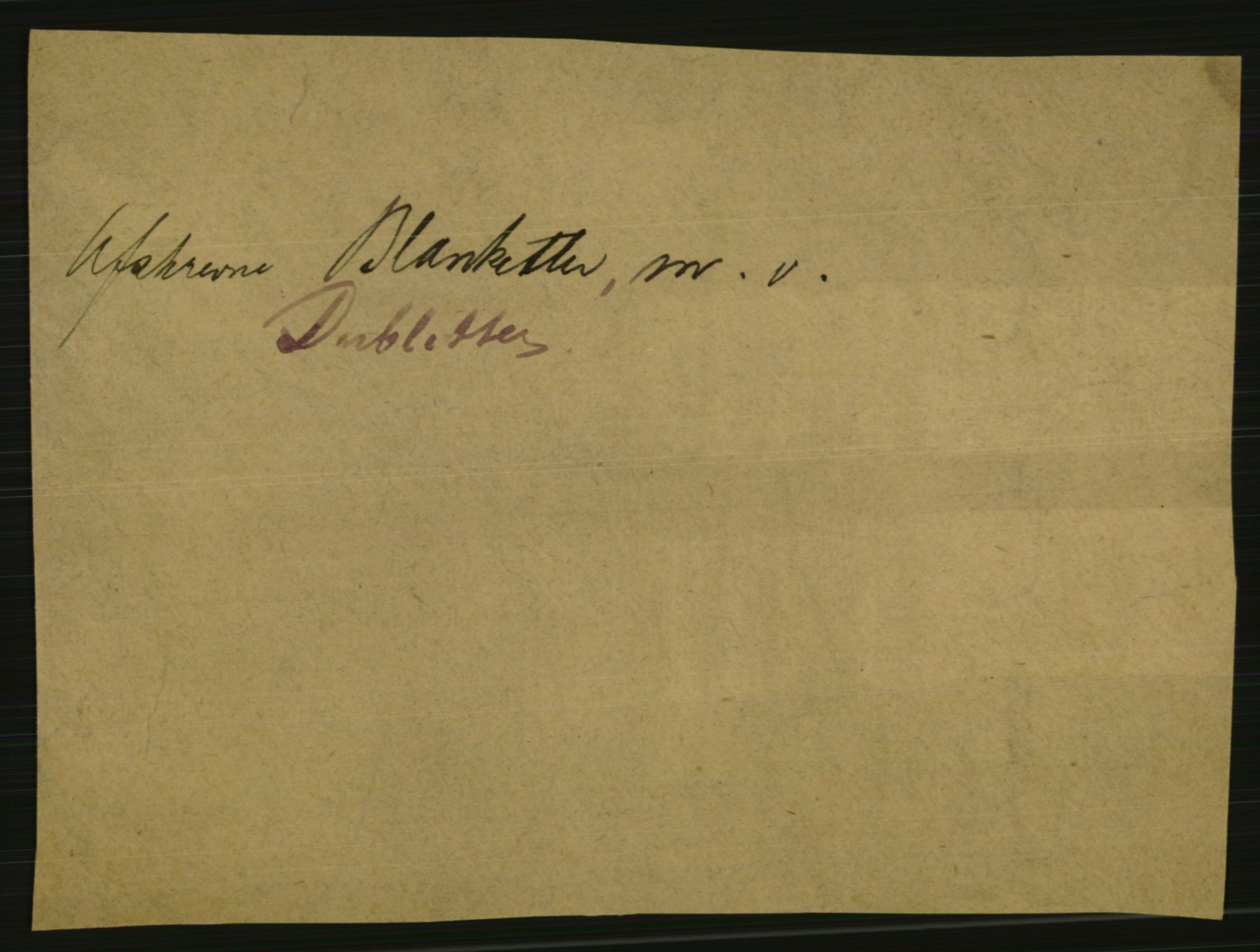 Statistisk sentralbyrå, Sosiodemografiske emner, Befolkning, AV/RA-S-2228/E/L0004: Fødte, gifte, døde dissentere., 1906, p. 3013