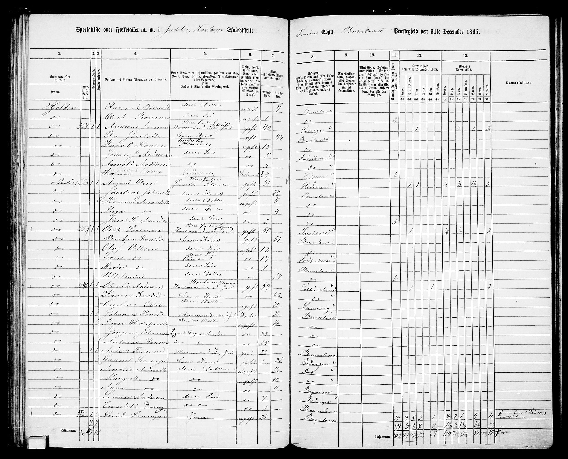 RA, 1865 census for Brunlanes, 1865, p. 89
