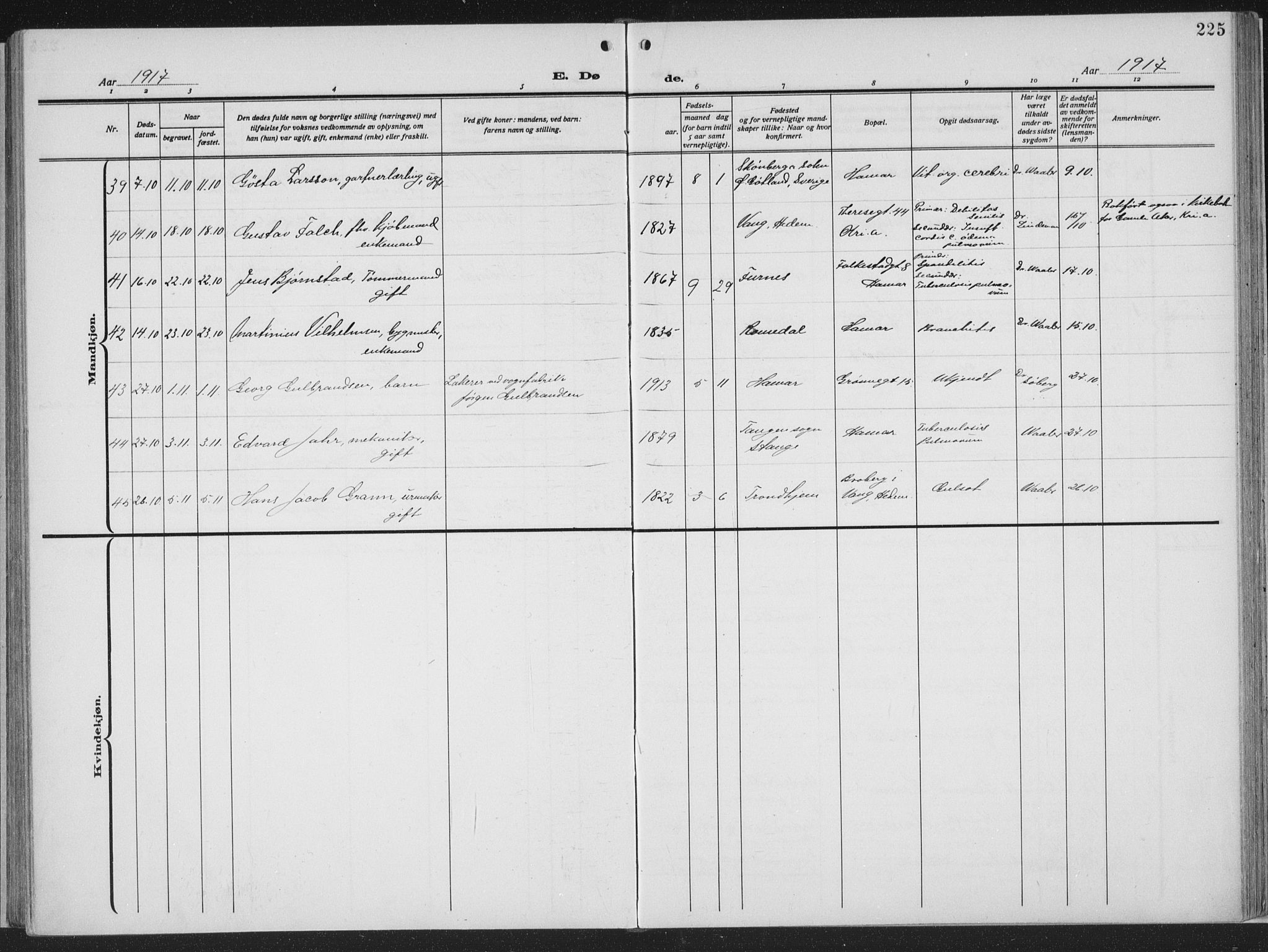 Hamar prestekontor, SAH/DOMPH-002/H/Ha/Haa/L0002: Parish register (official) no. 2, 1915-1936, p. 225
