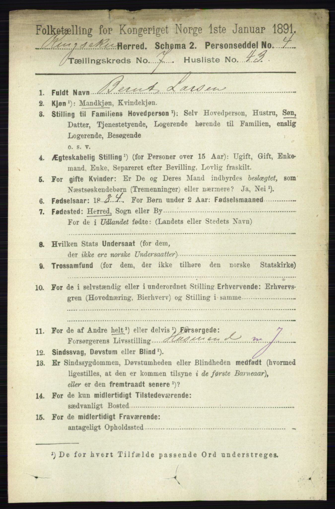 RA, 1891 census for 0412 Ringsaker, 1891, p. 4187