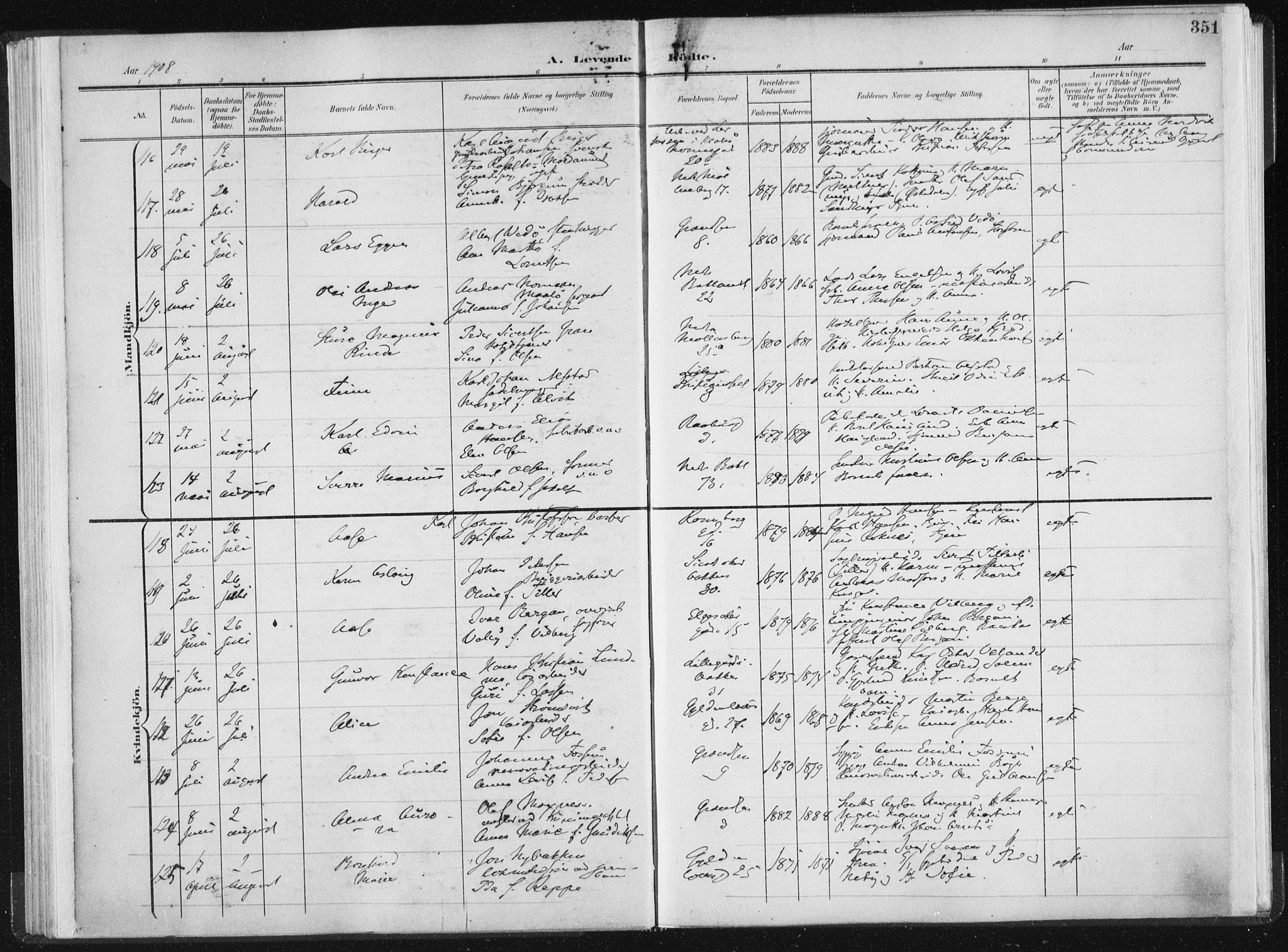 Ministerialprotokoller, klokkerbøker og fødselsregistre - Sør-Trøndelag, AV/SAT-A-1456/604/L0200: Parish register (official) no. 604A20II, 1901-1908, p. 351