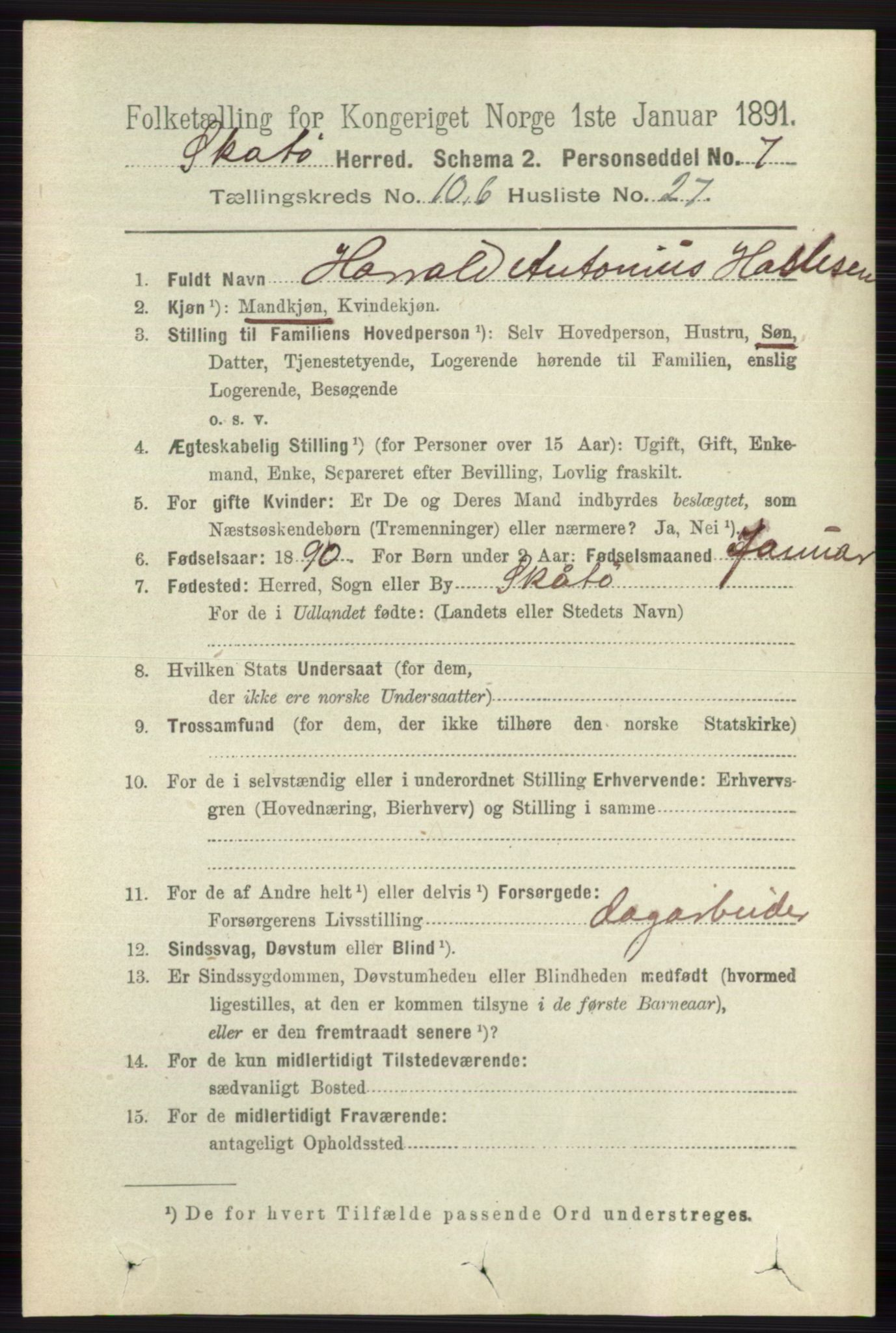 RA, 1891 census for 0815 Skåtøy, 1891, p. 4206