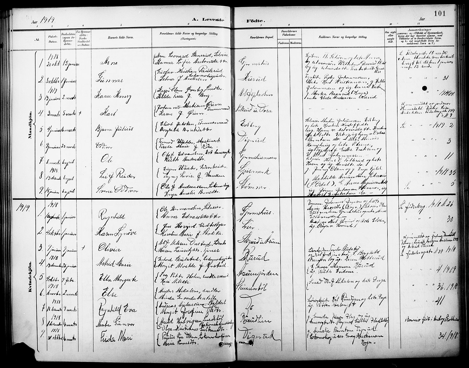 Vinger prestekontor, AV/SAH-PREST-024/H/Ha/Hab/L0003: Parish register (copy) no. 3, 1895-1920, p. 101